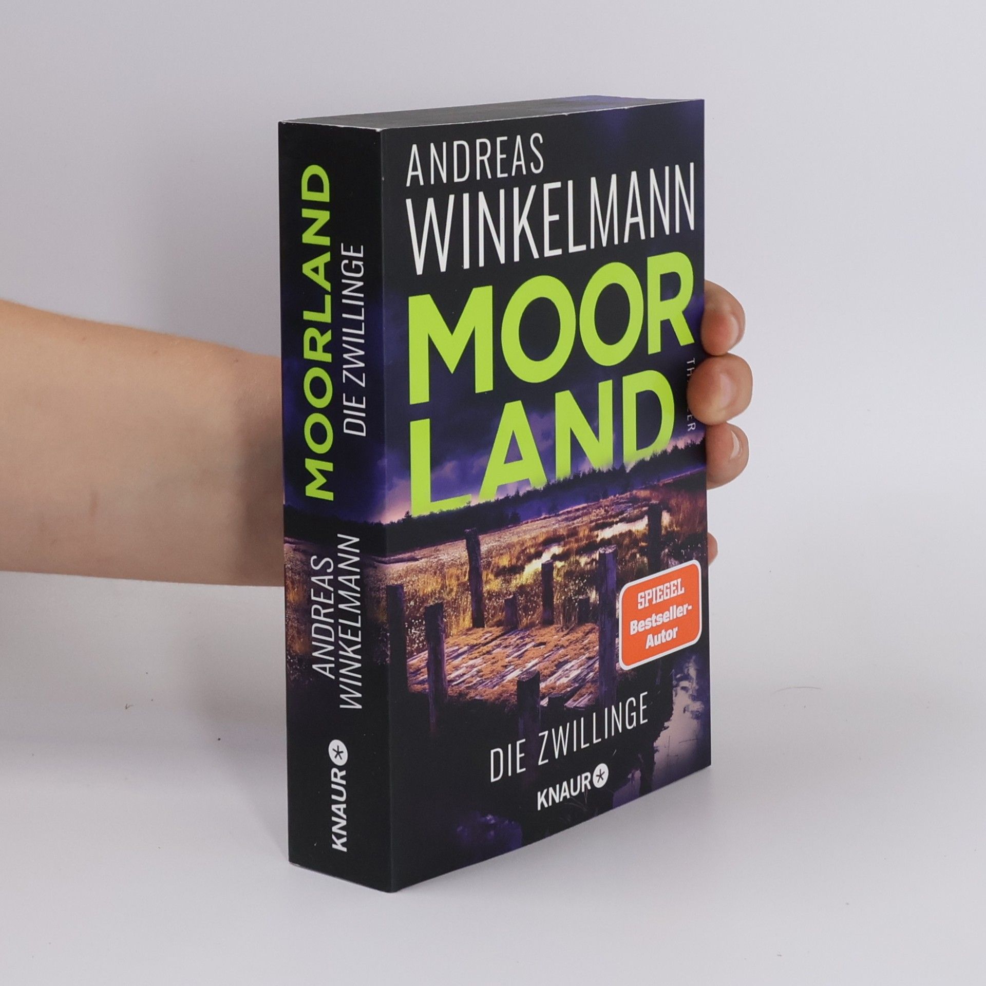 Hendrik Winter Moorland. Die Zwillinge