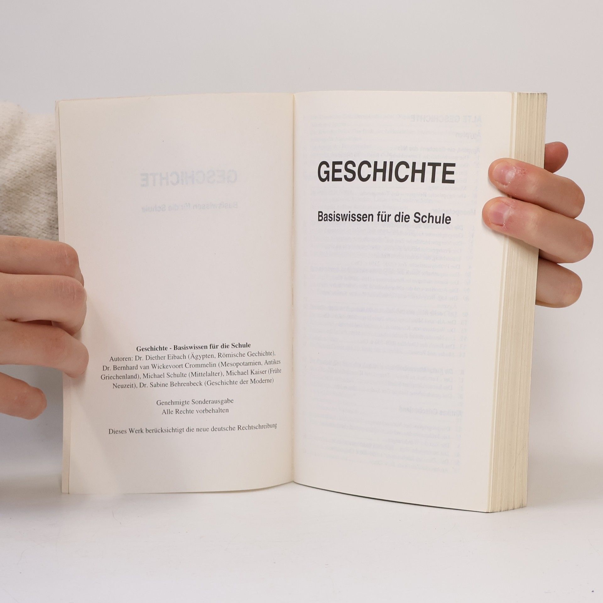 AA.VV. Geshichte: Basiswissen für die Schule