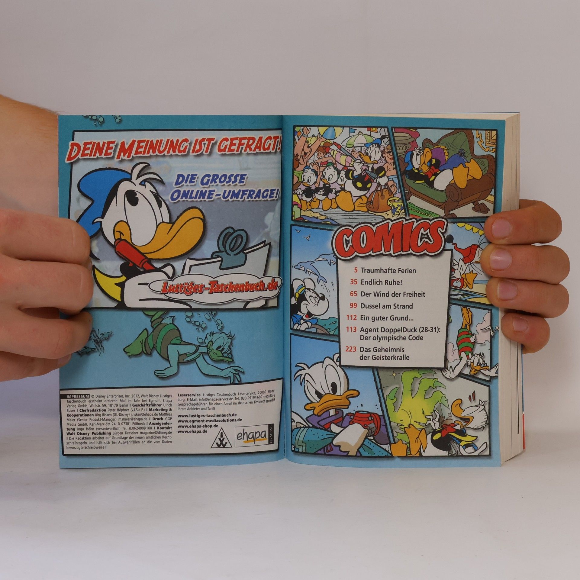 Walt Disney Lustiges Taschenbuch 431