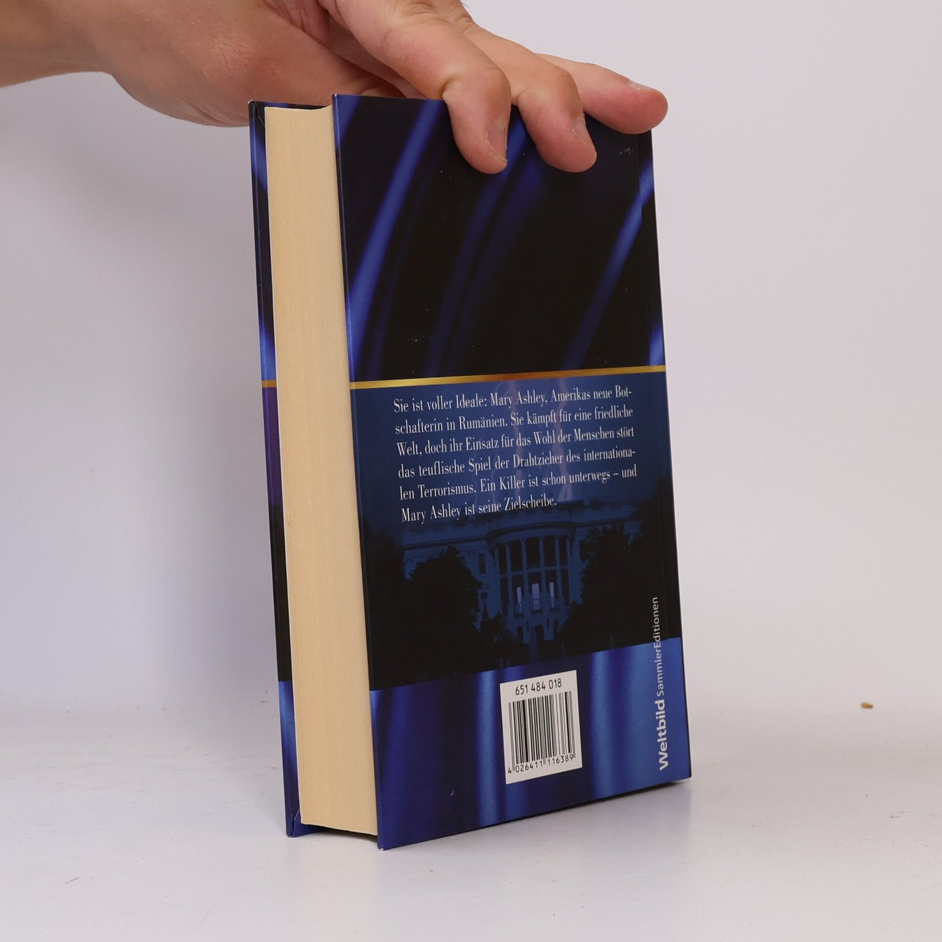 Sidney Sheldon Im Schatten der Götter