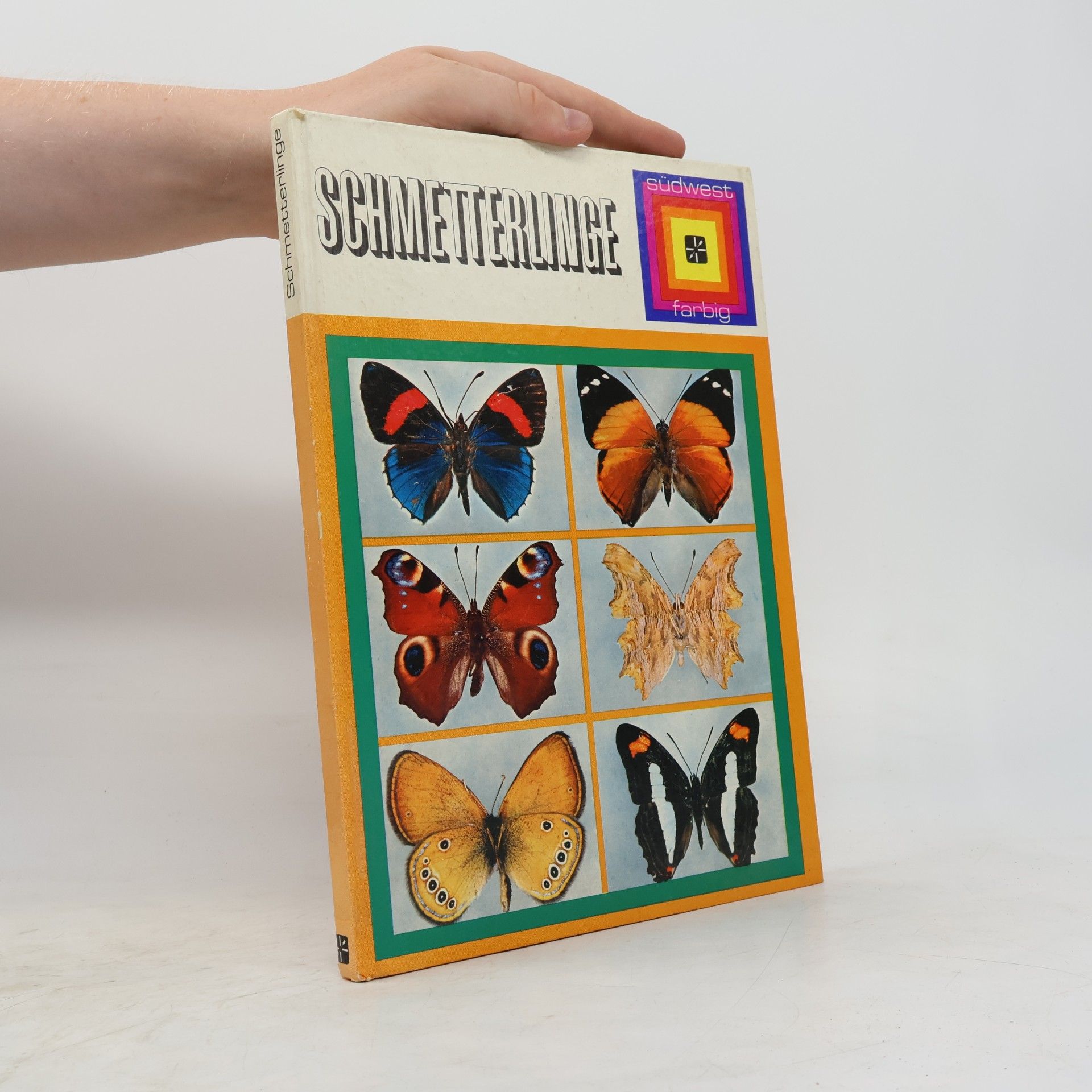 Autorenkollektiv Schmetterlinge
