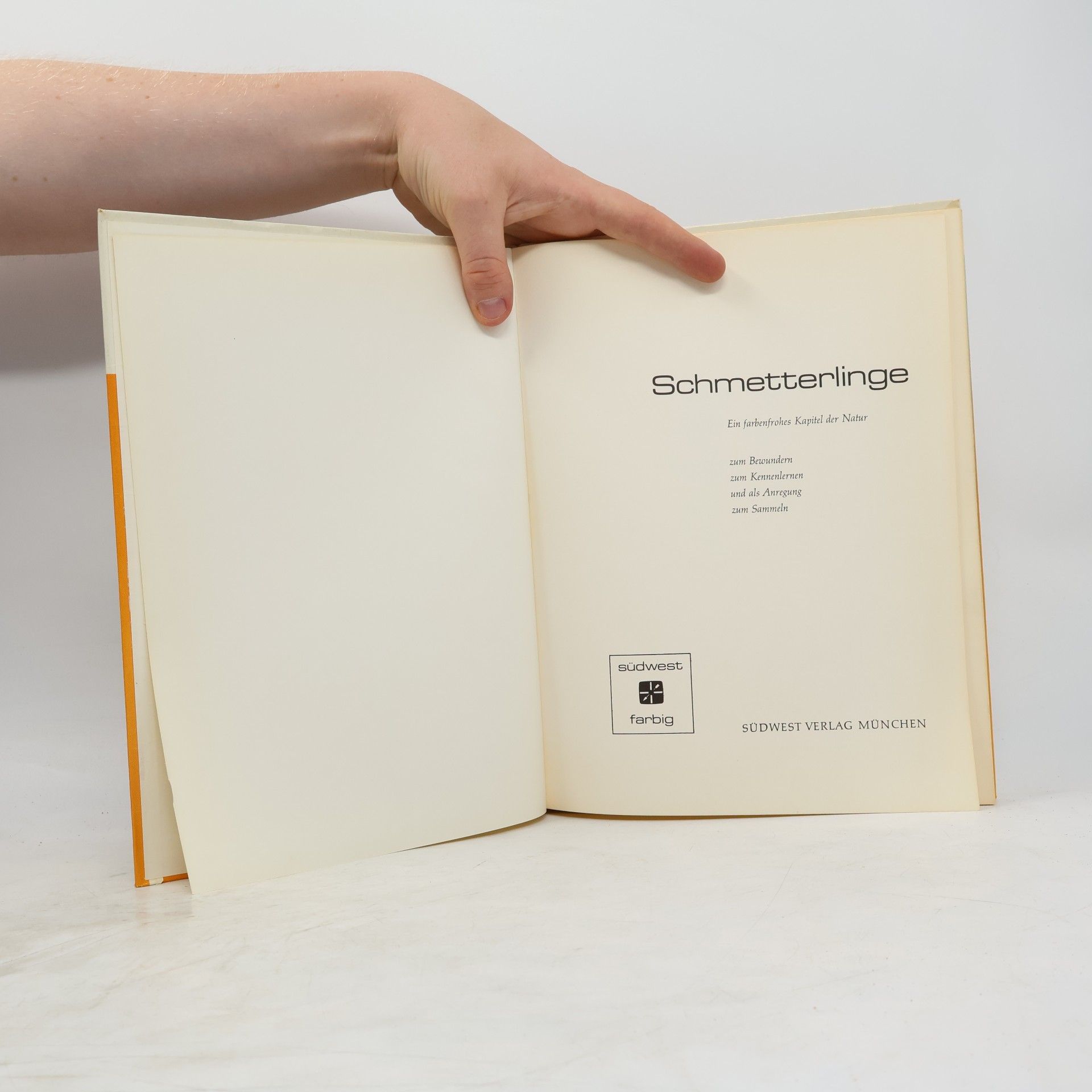 Autorenkollektiv Schmetterlinge
