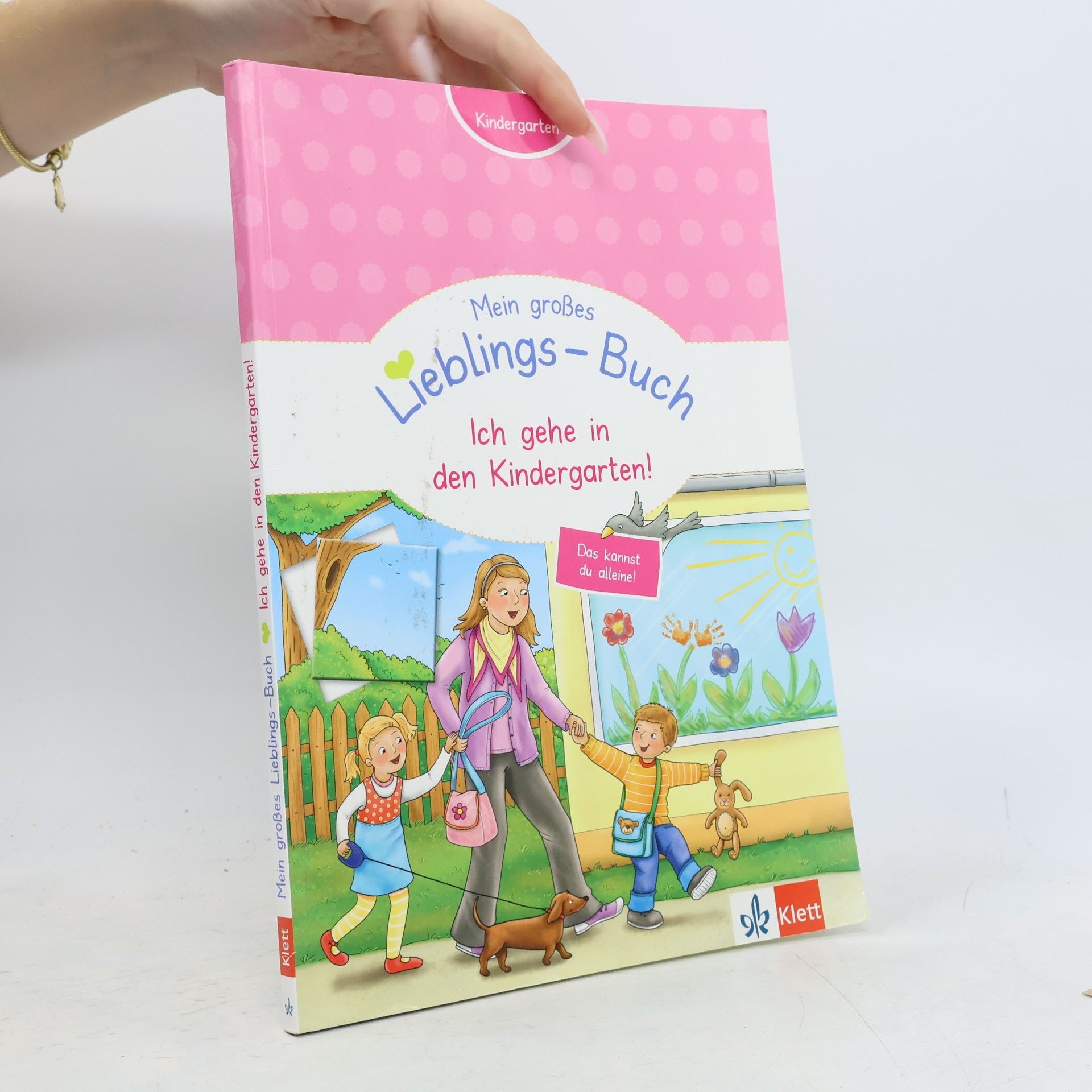 Autorenkollektiv Klett Mein großes Lieblings-Buch Ich gehe in den Kindergarten! - Kindergarten ab 3: Zählen, ordnen, unterscheiden, erkennen und zuordnen: Ich gehe in ... Erkennen und Zuordnen (Mein Lieblings-Block)