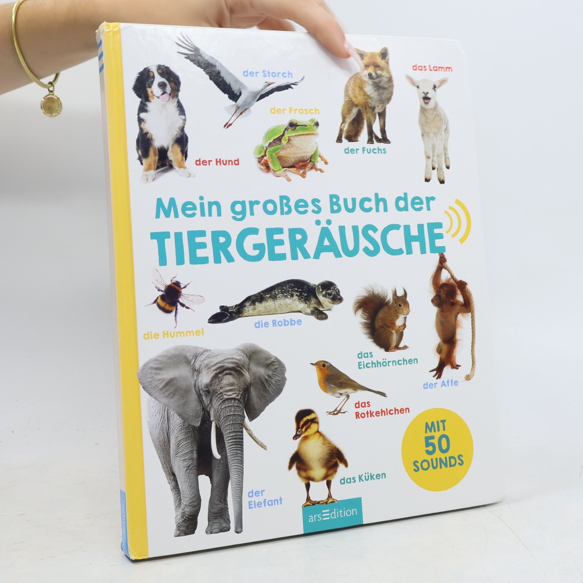 Autorenkollektiv Mein großes Buch der Tiergeräusche