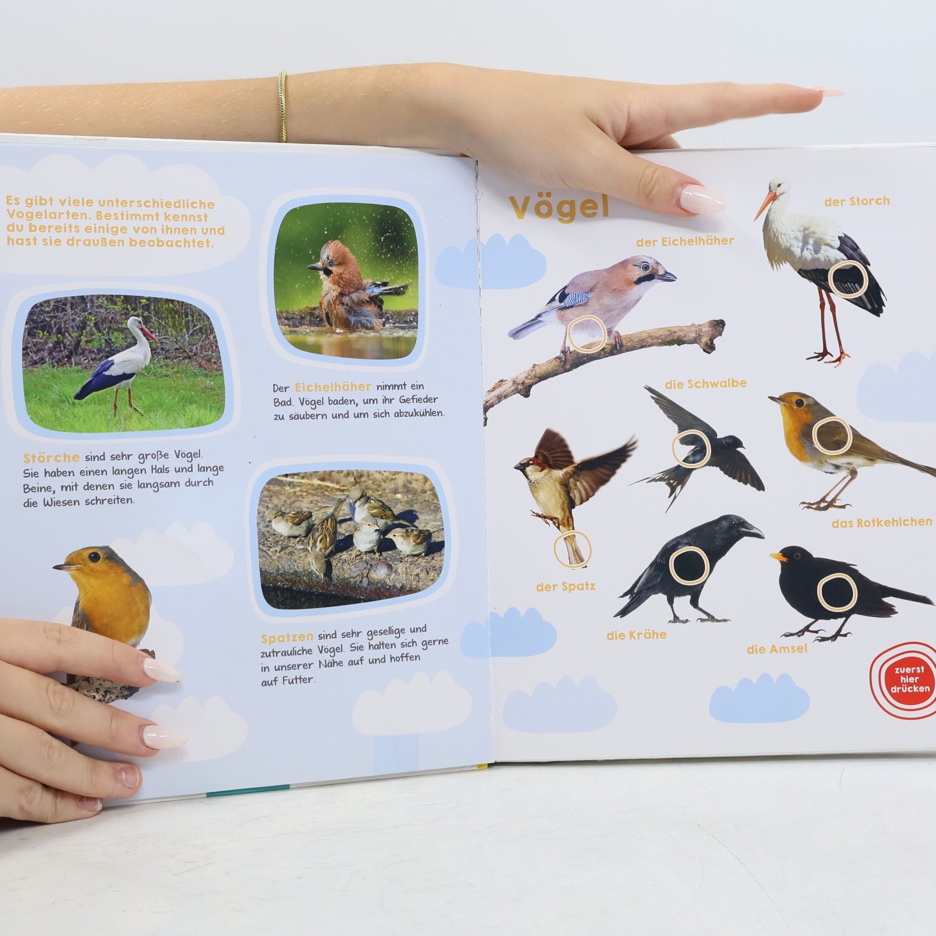 Autorenkollektiv Mein großes Buch der Tiergeräusche