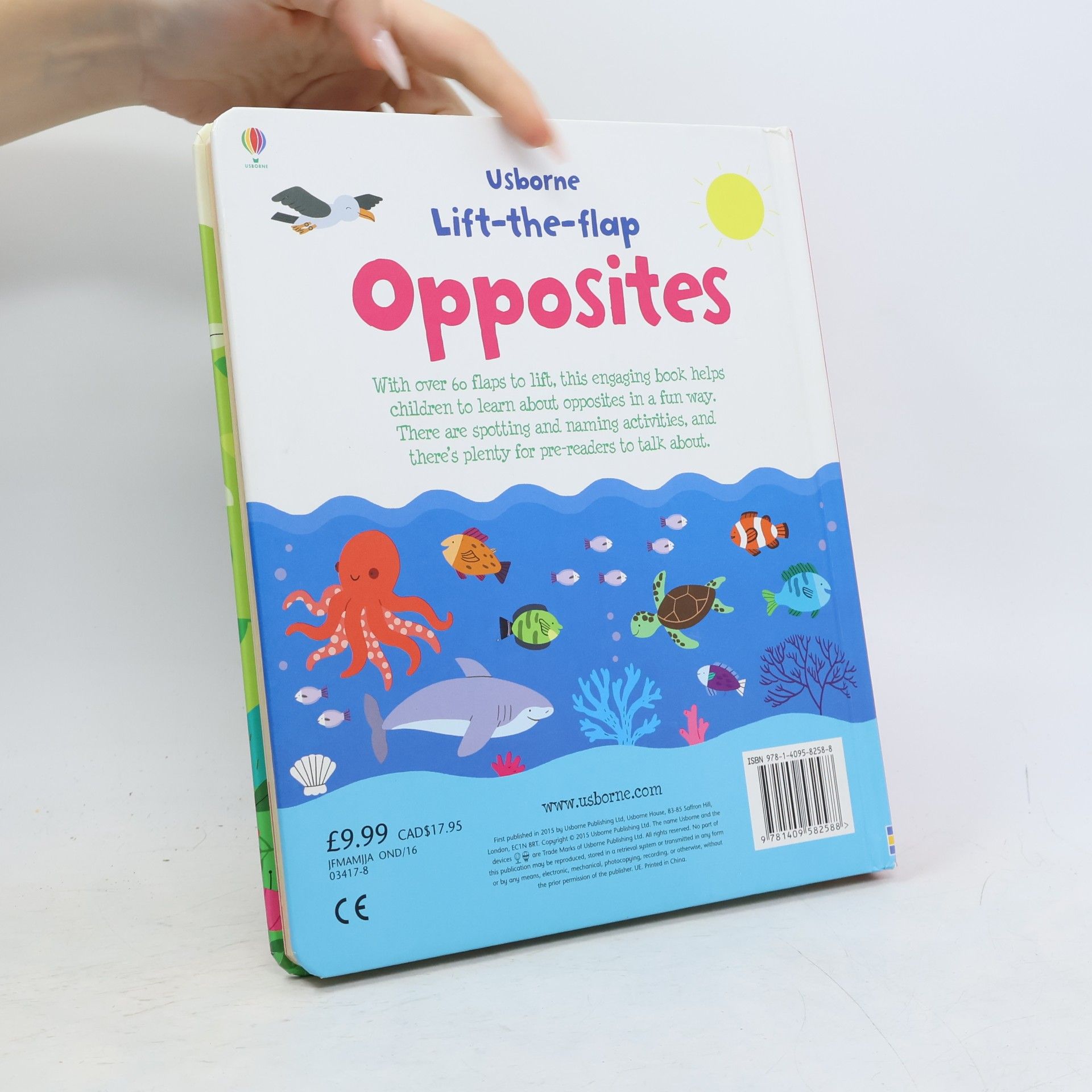 Felicity Brooks Opposites