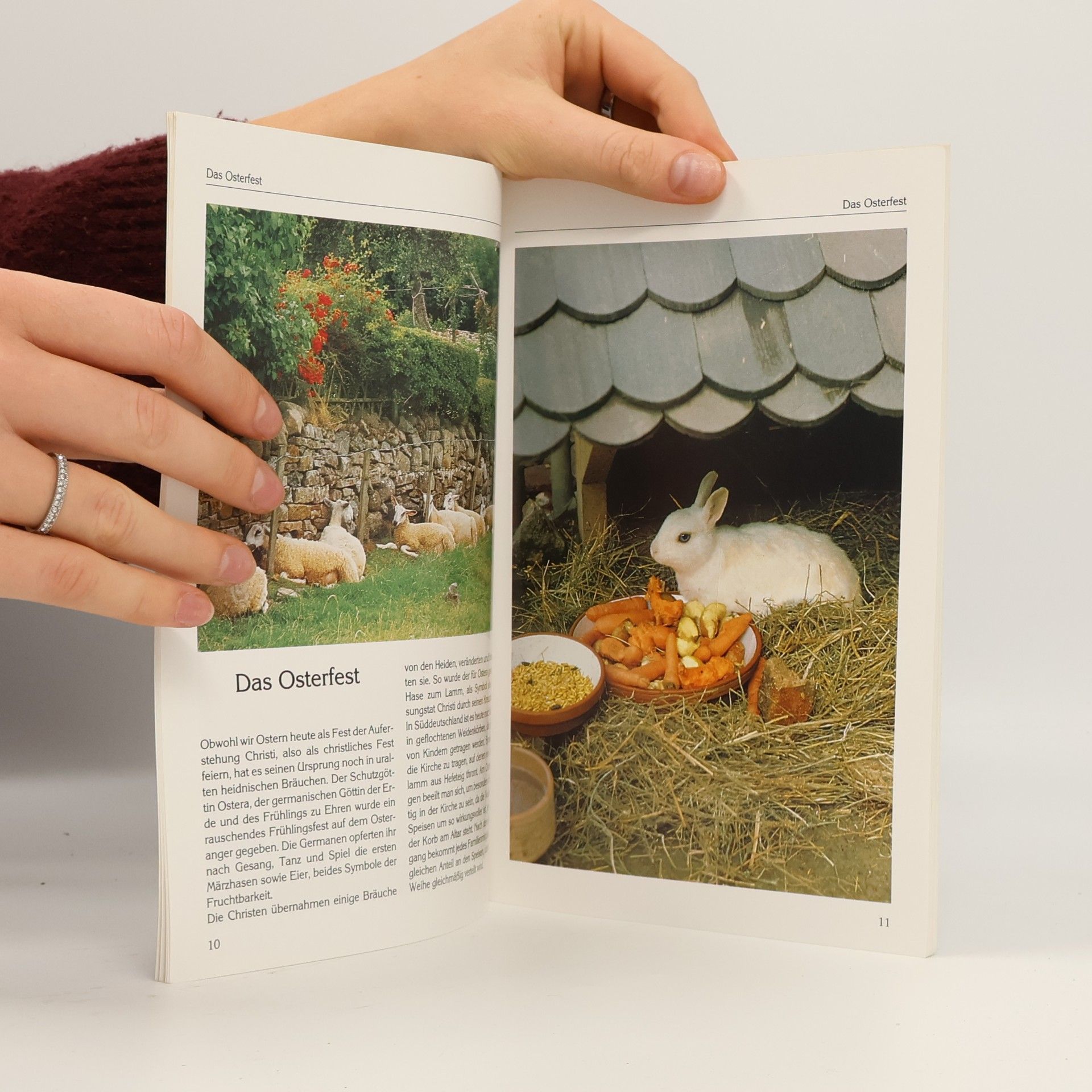 Kolektiv autorů Zauberhafter Osterschmuck zum Selbermachen
