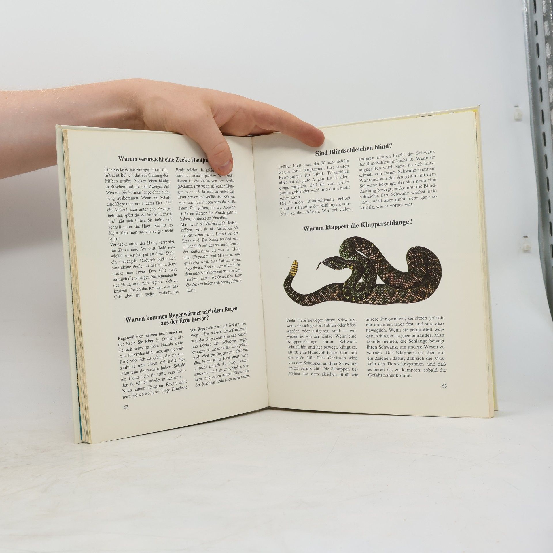 Mary Elting Das dritte Antwort-Buch