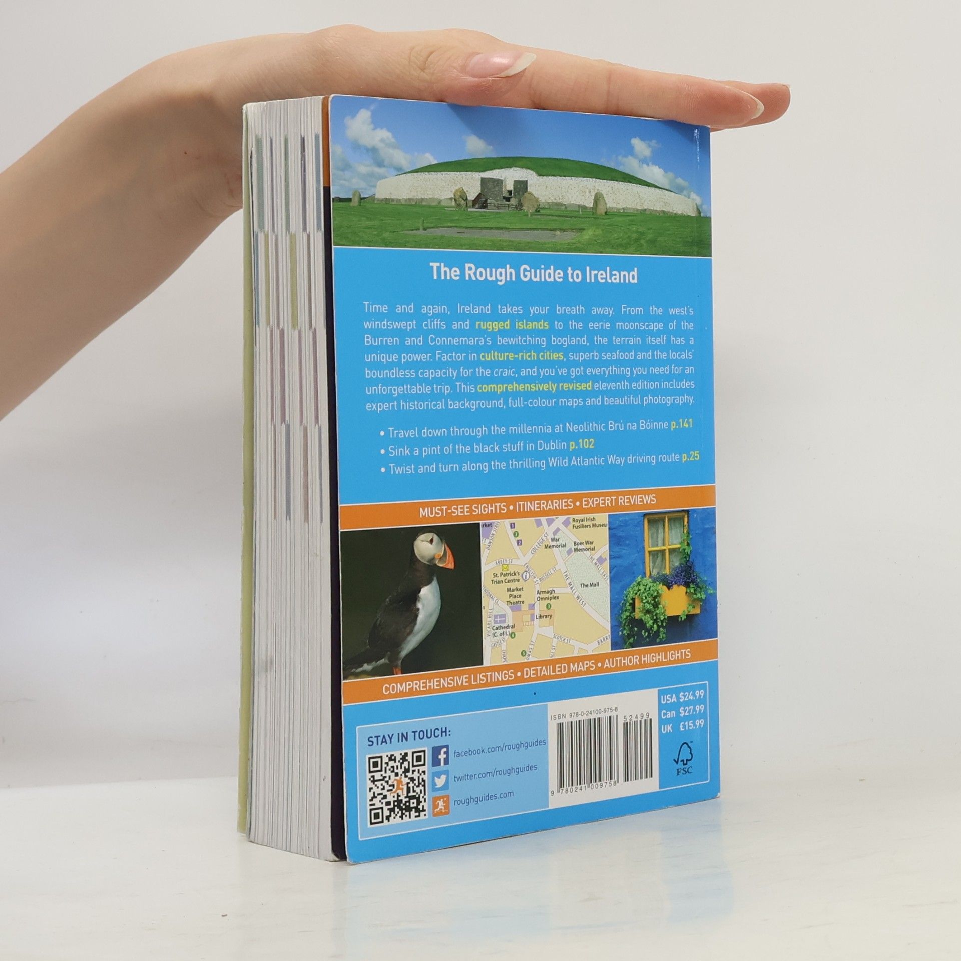 Paul Clements The Rough Guide to Ireland - New Edition New Design