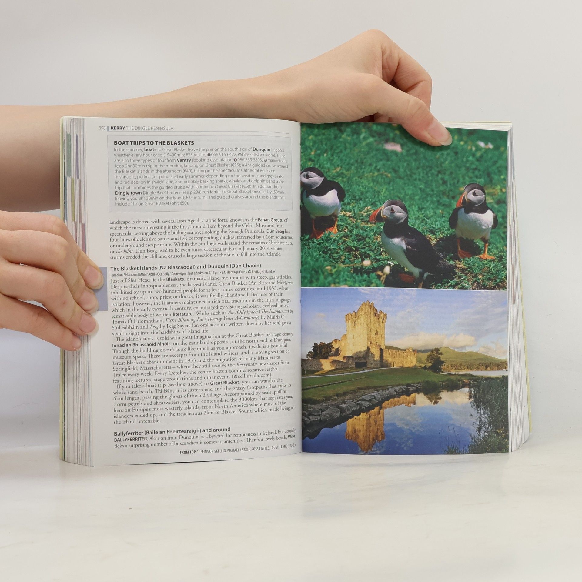 Paul Clements The Rough Guide to Ireland - New Edition New Design