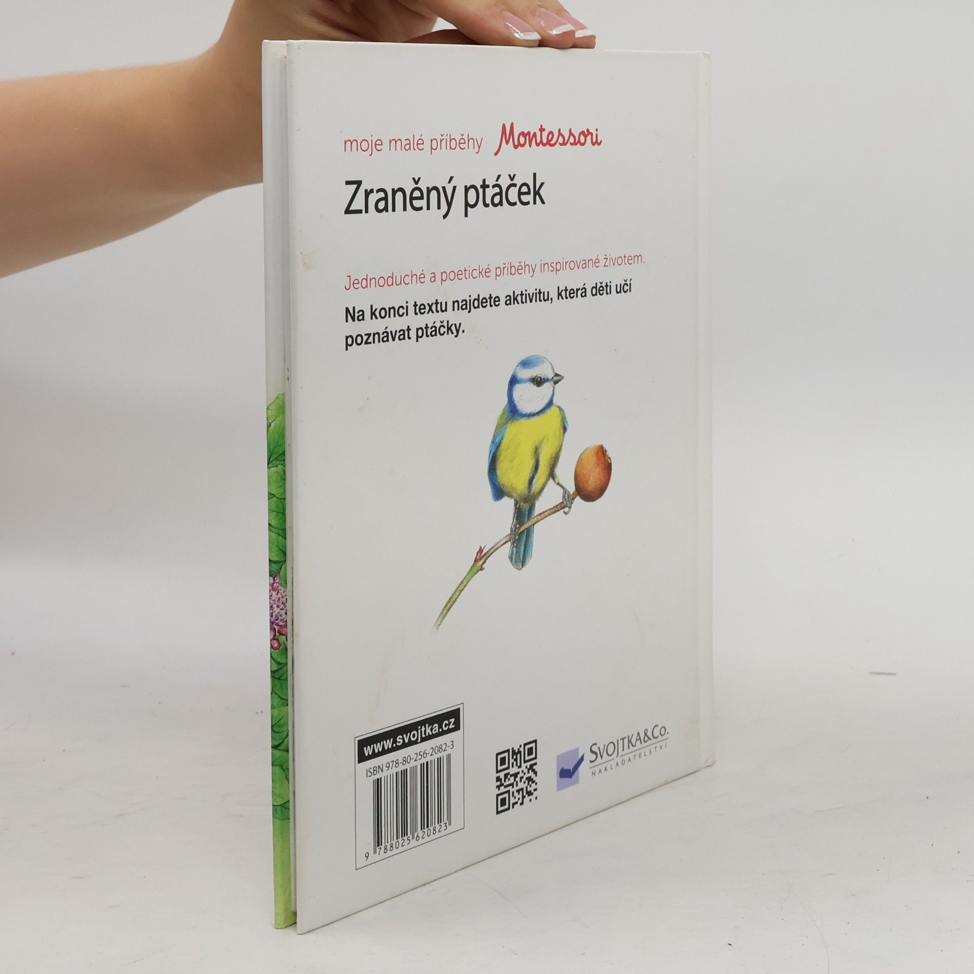 Ève Herrmann Moje malé příběhy Montessori: Zraněný ptáček