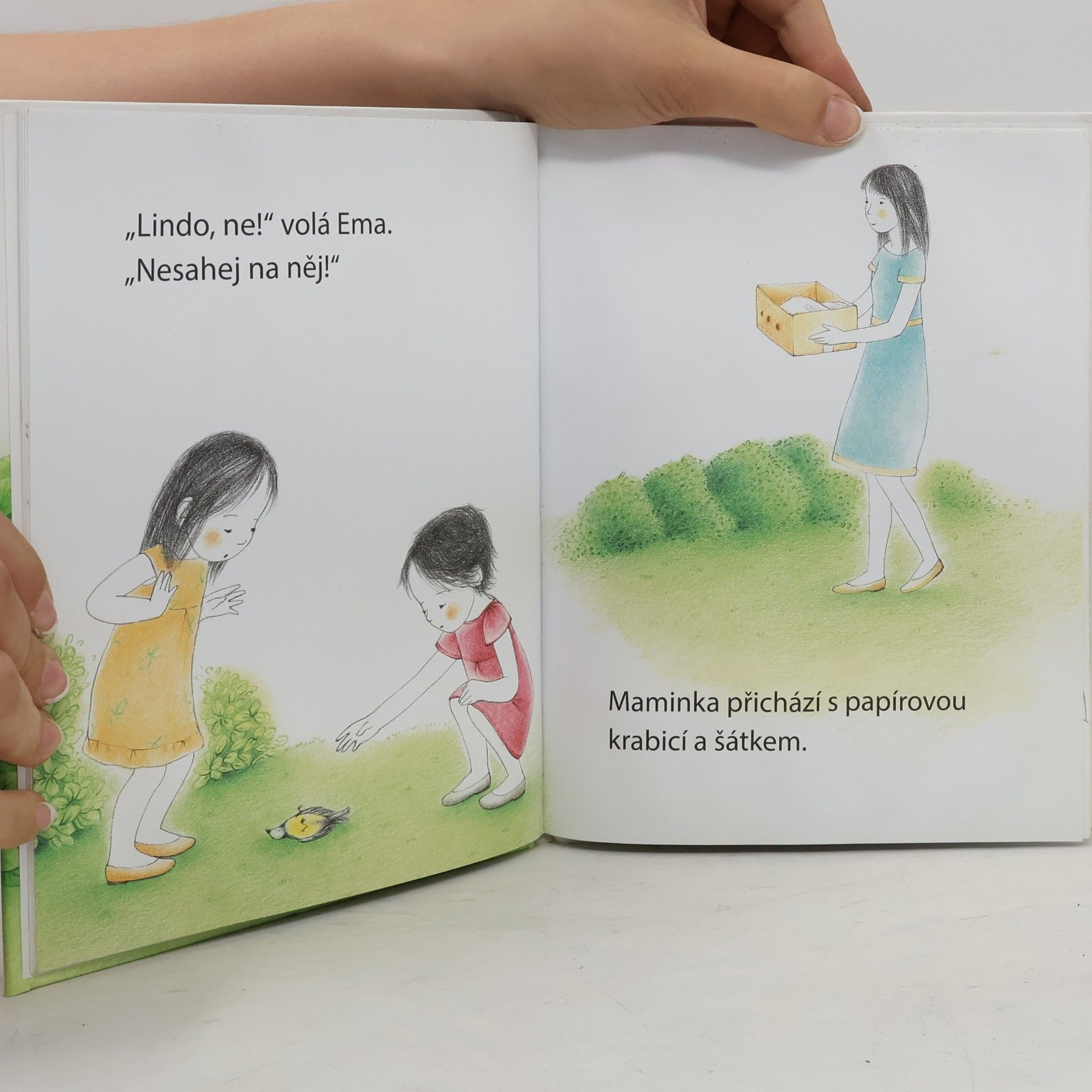 Ève Herrmann Moje malé příběhy Montessori: Zraněný ptáček