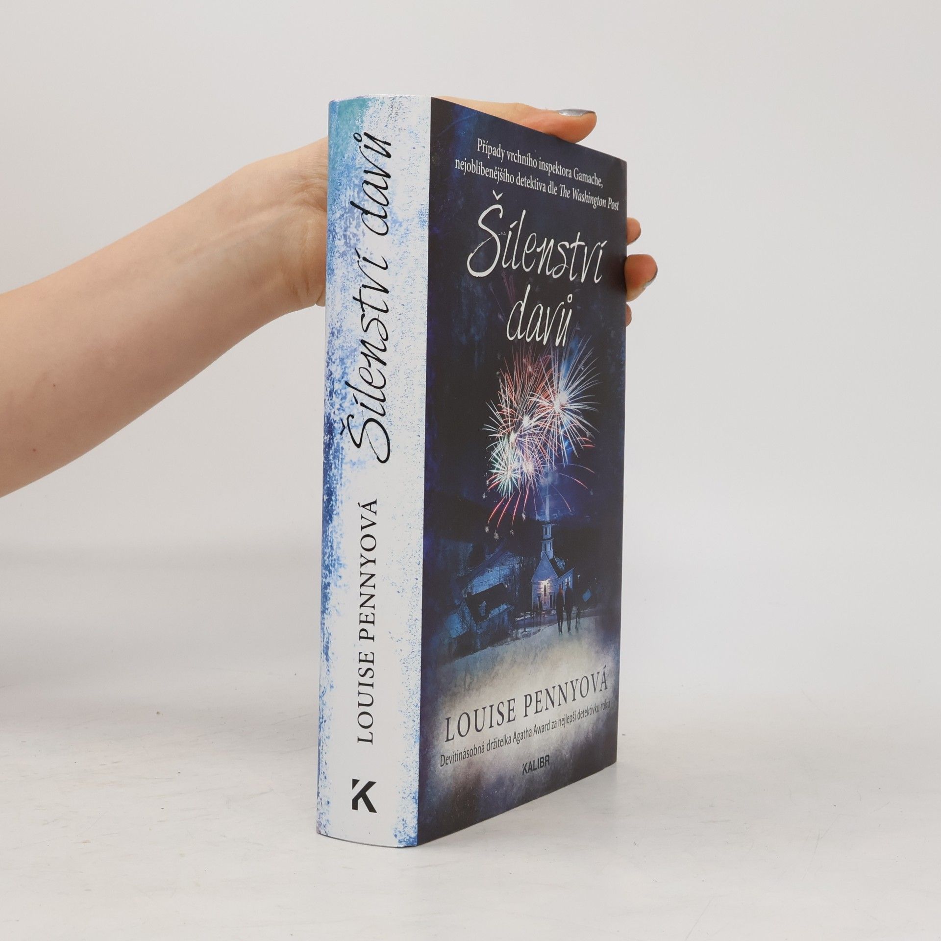Louise Penny Šílenství davů