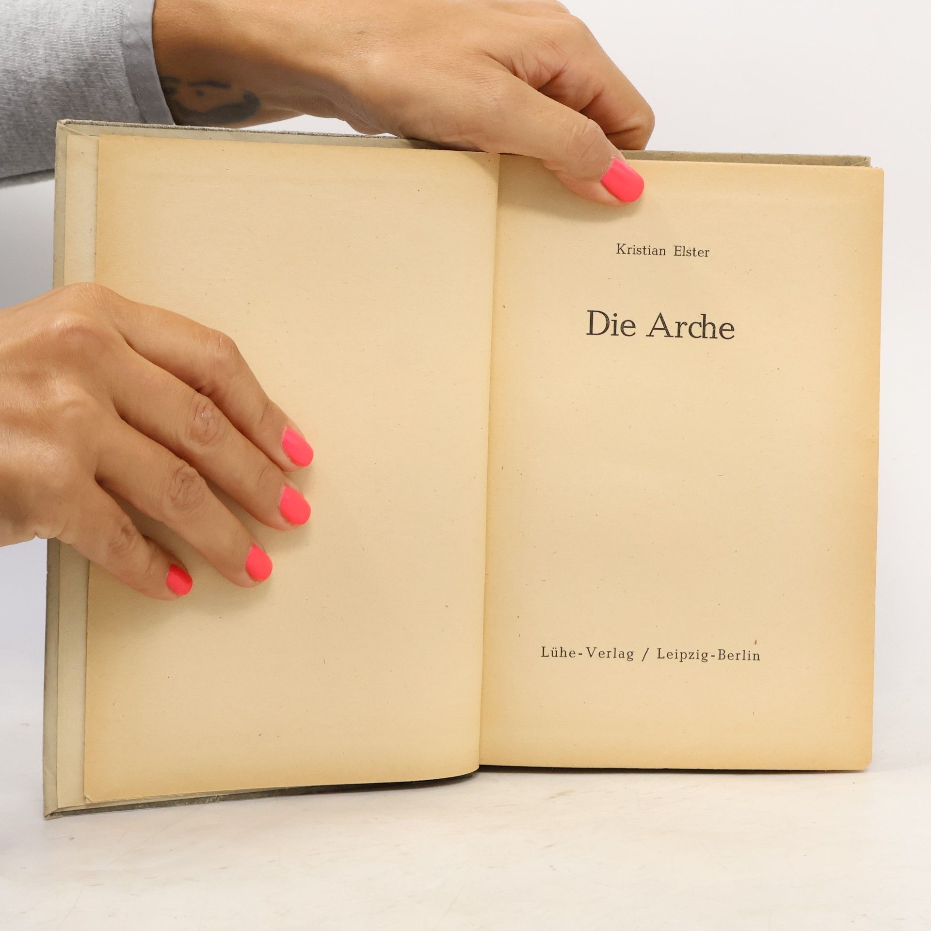 Kristian Elster Die Arche