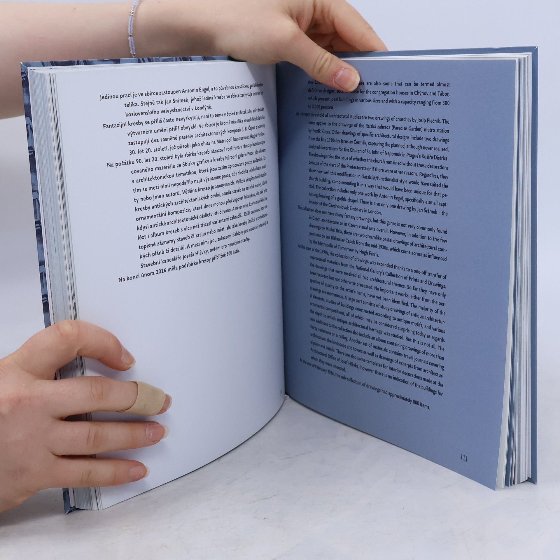Various authors Sen a skutečnost = Dream and reality