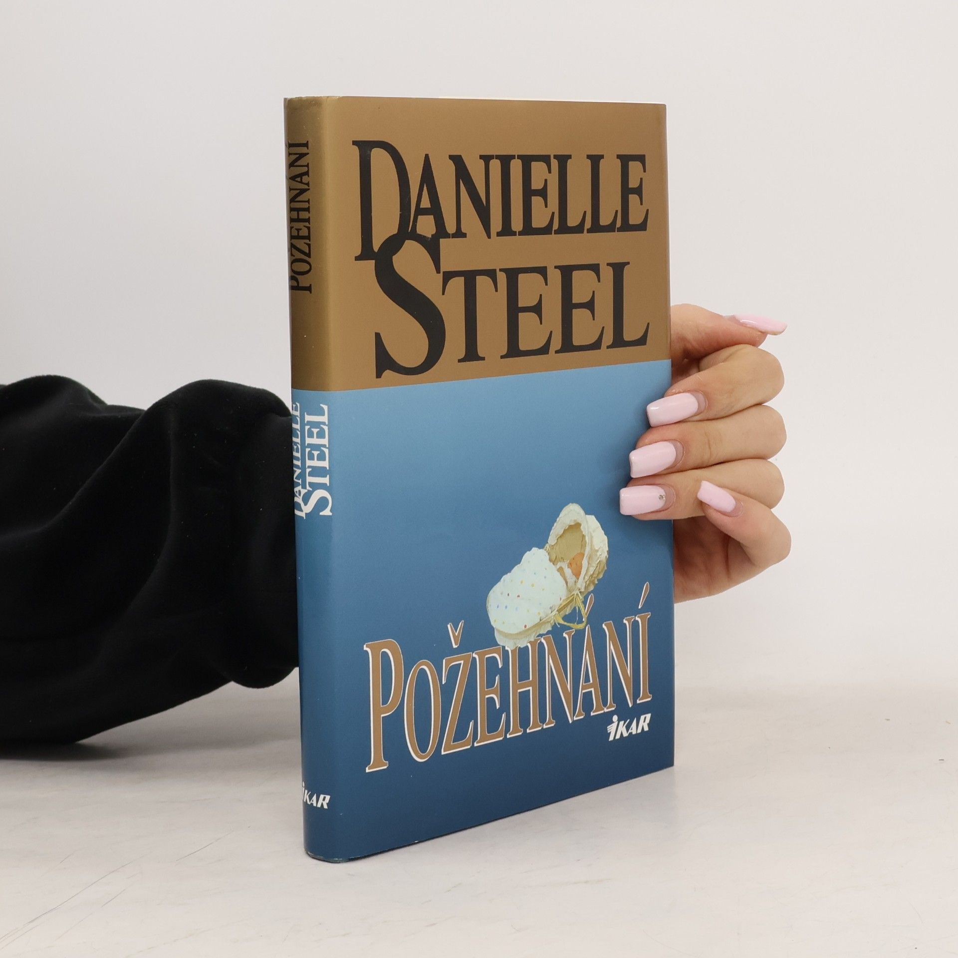 Danielle Steel Požehnání