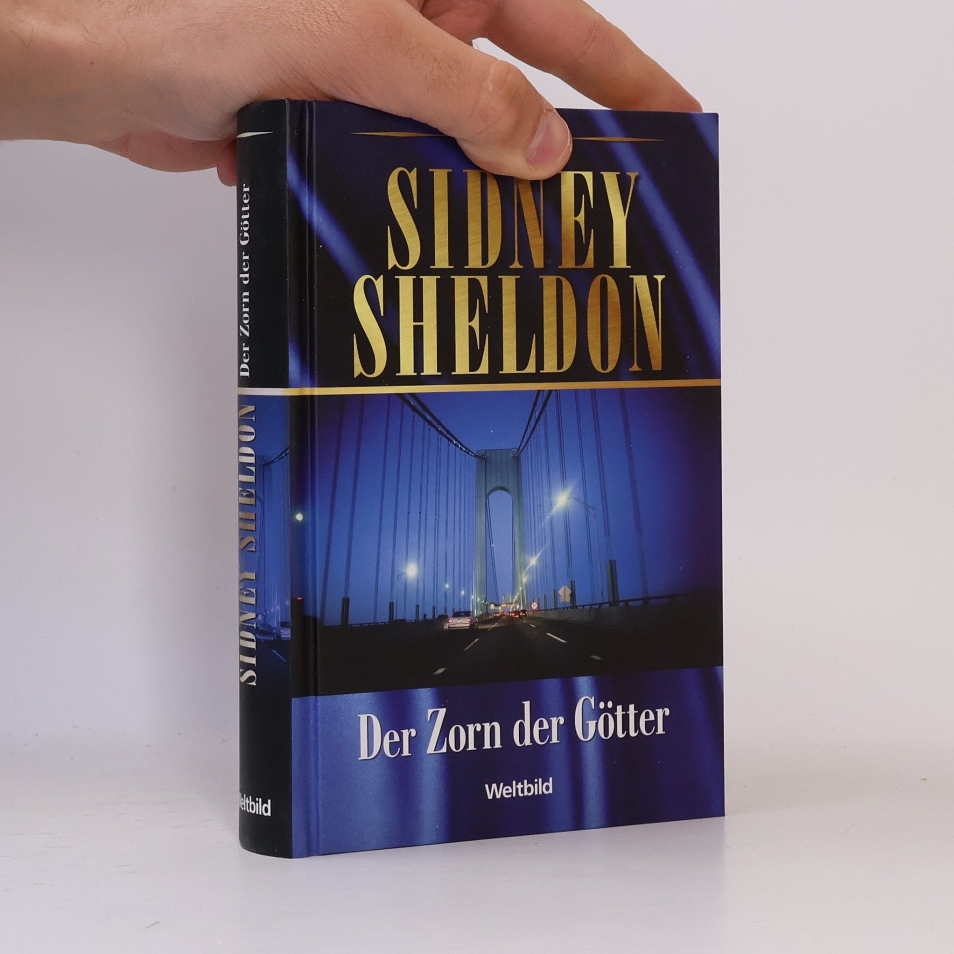 Sidney Sheldon Der Zorn der Götter