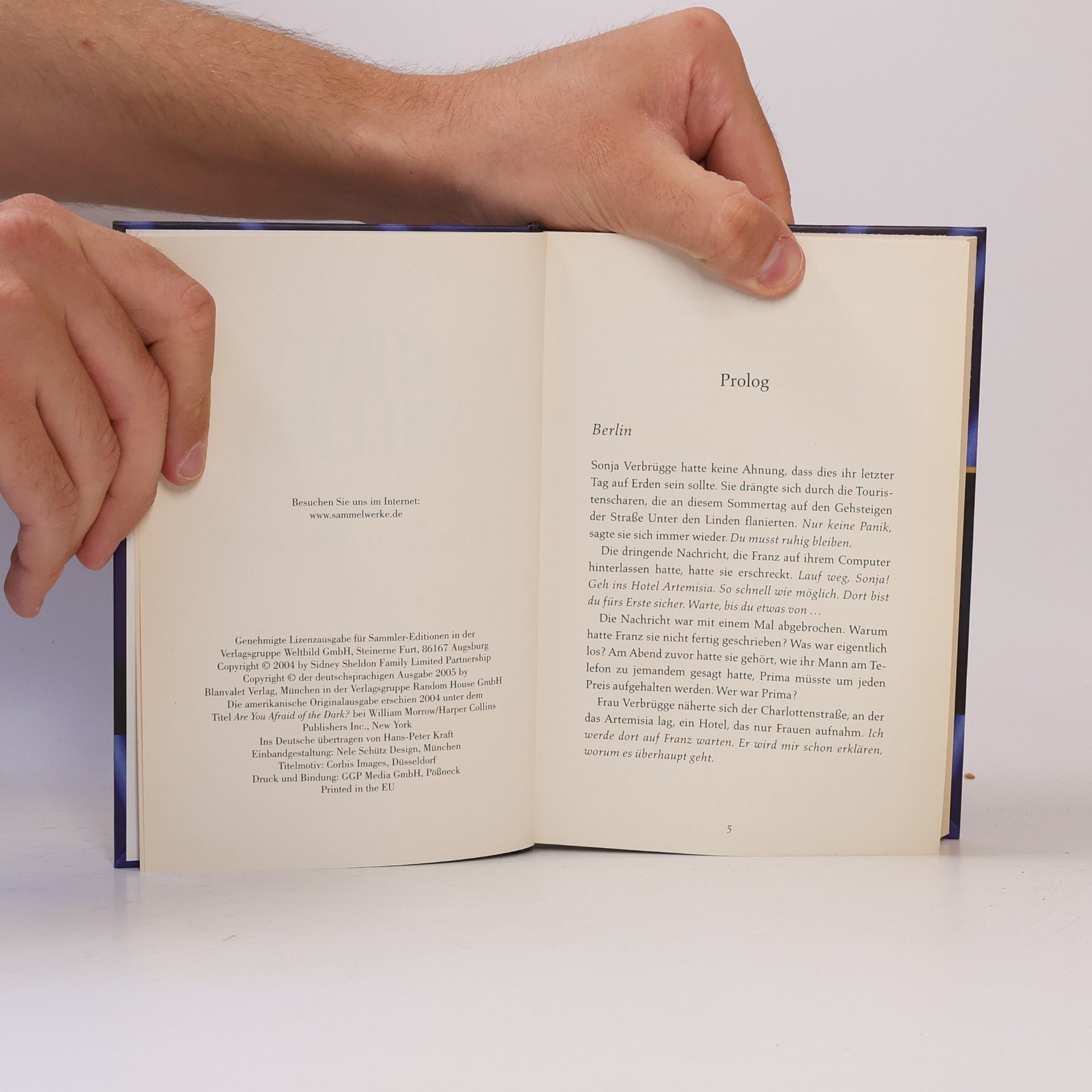 Sidney Sheldon Der Zorn der Götter