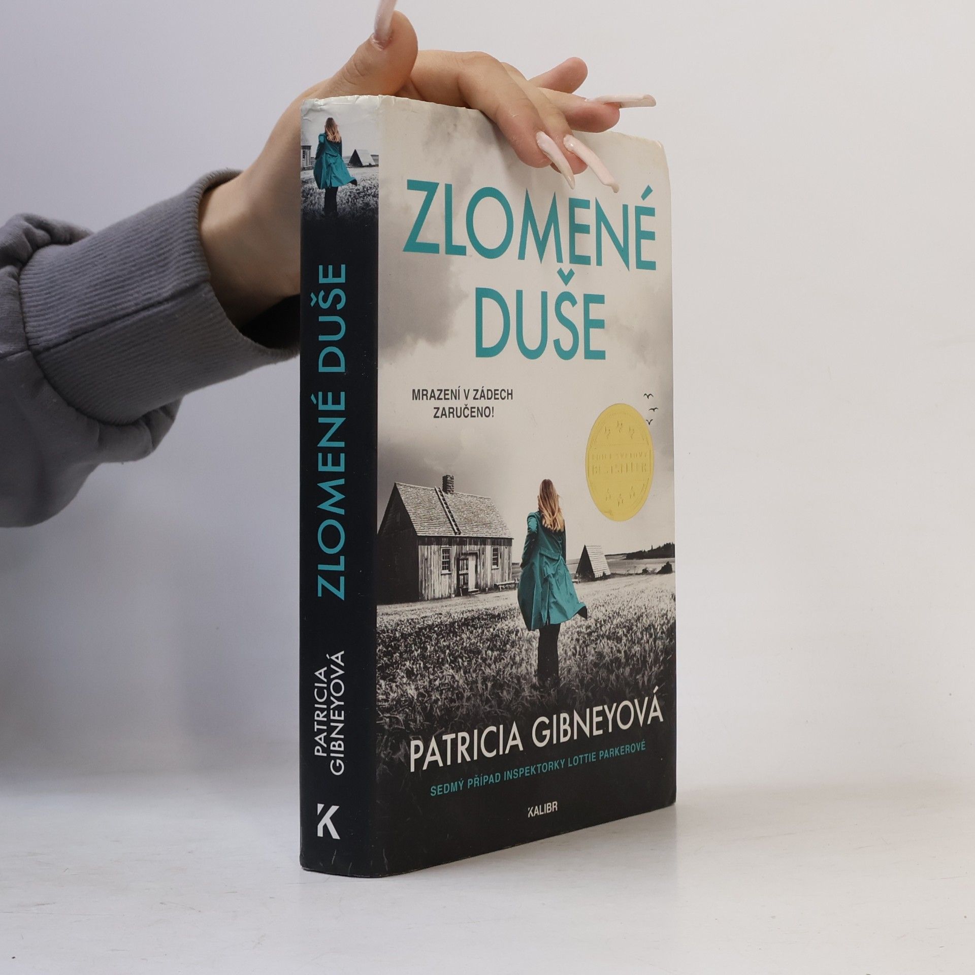 Patricia Gibney Zlomené Duše