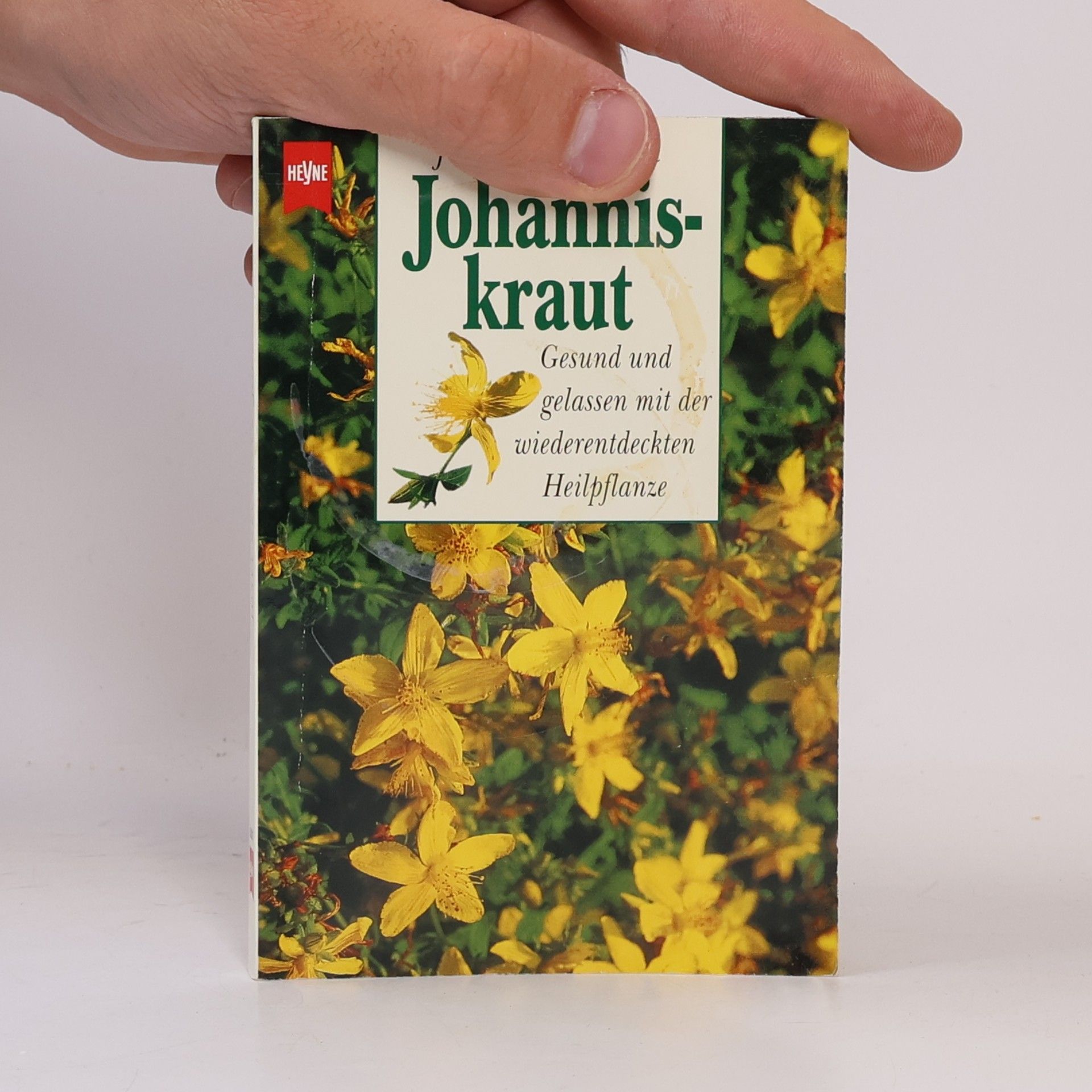 Josef Neumayer Johanniskraut