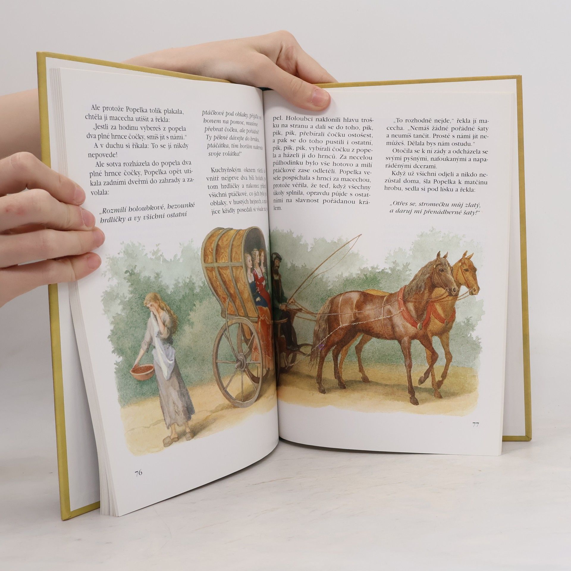 Jacob Grimm Pohádky bratří Grimmů 2