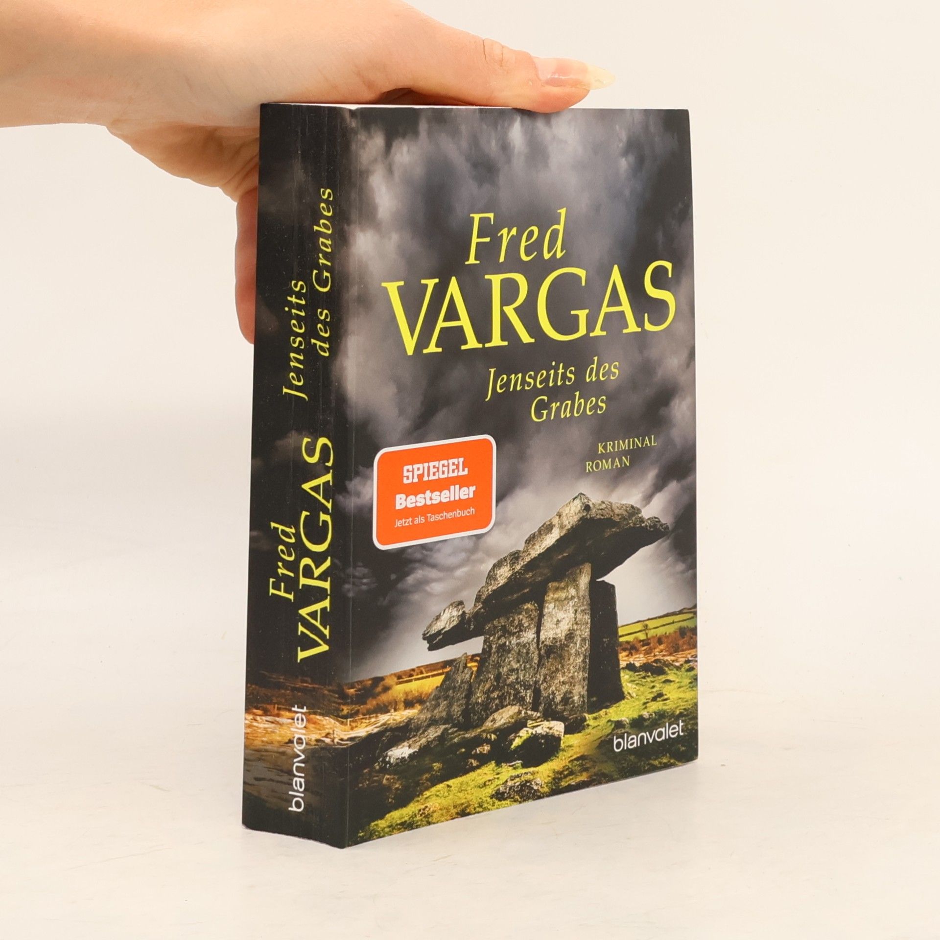 Fred Vargas Jenseits des Grabes