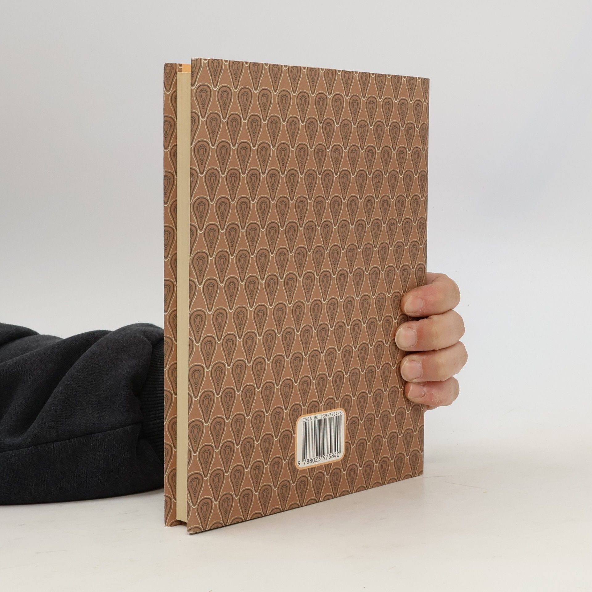 Collectif d'auteurs Majsebuch aneb Kniha jidiš legend a příběhů. Část druhá.