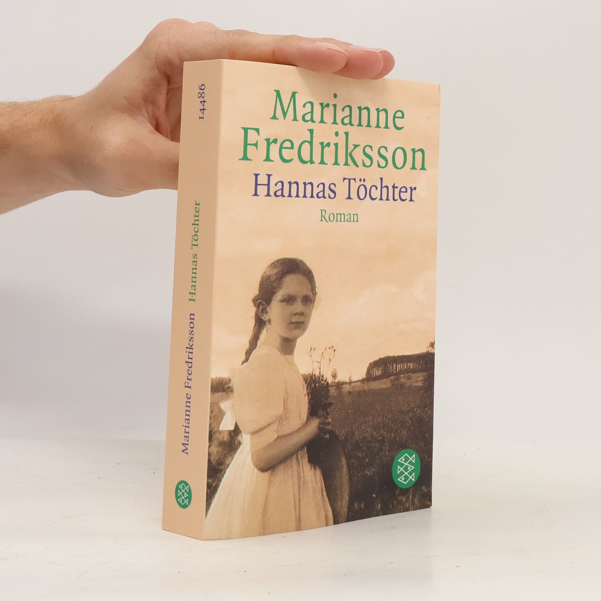 Marianne Fredriksson Hannas Töchter