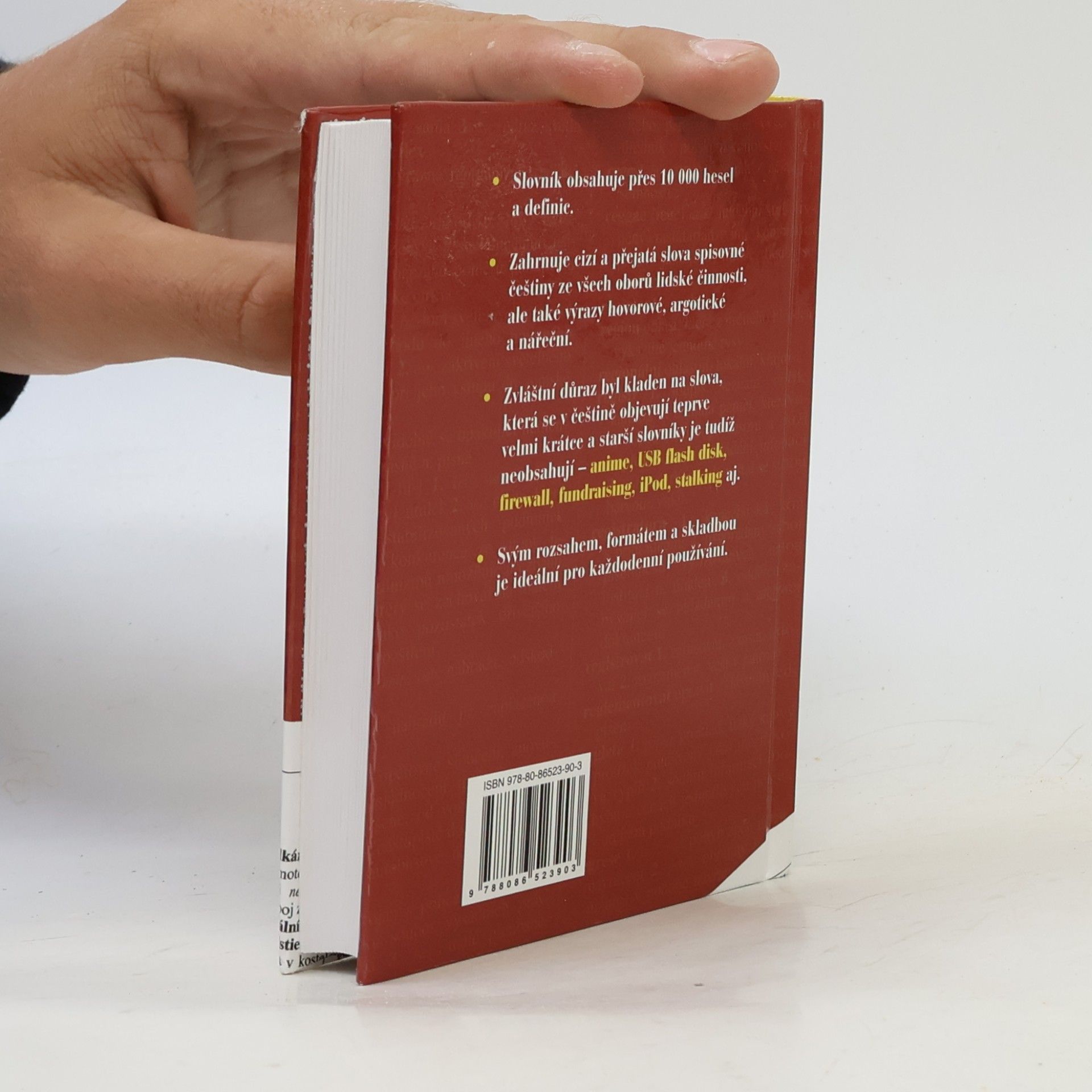 Collectif d'auteurs Kapesní slovník cizích slov pro 21.století