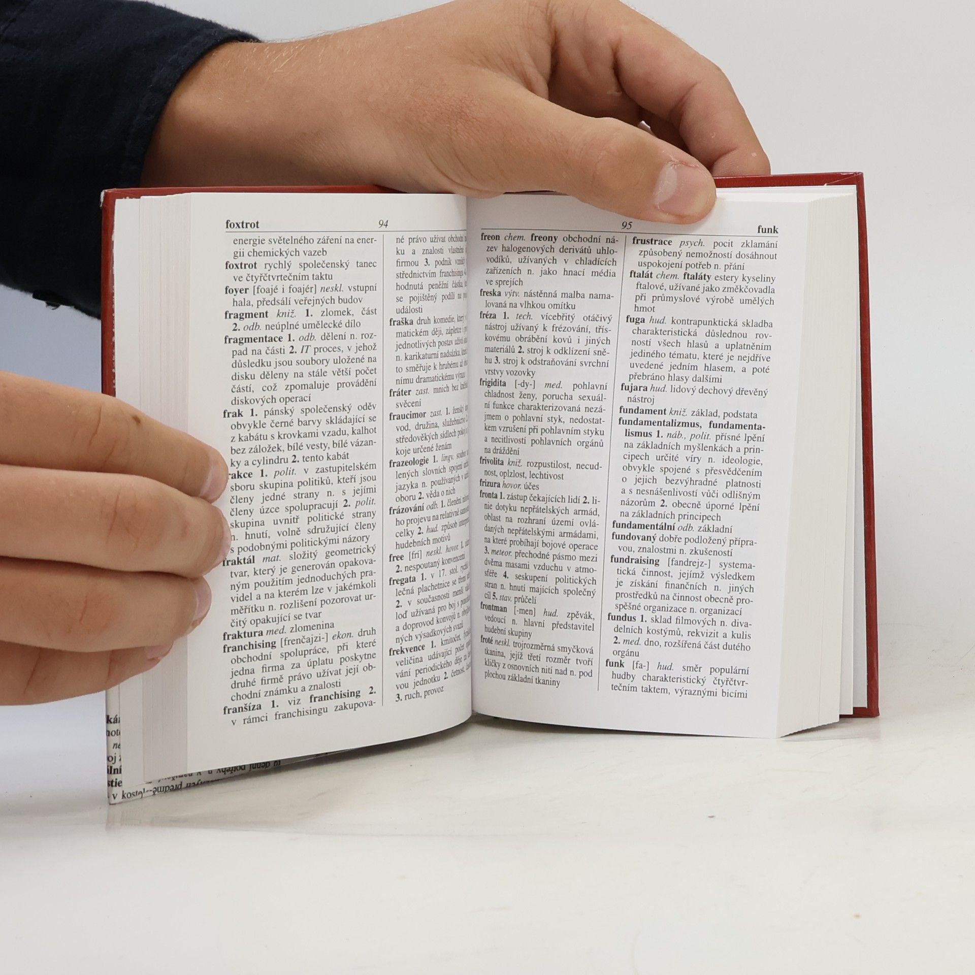 Collectif d'auteurs Kapesní slovník cizích slov pro 21.století