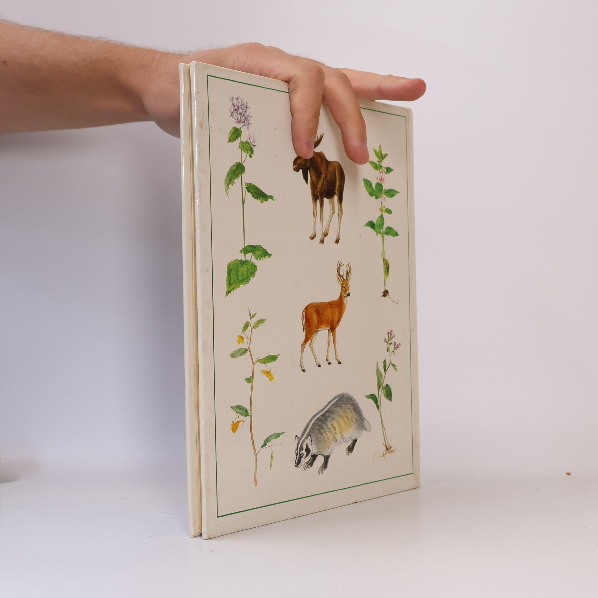 Autorenkollektiv Das Leben der Wälder