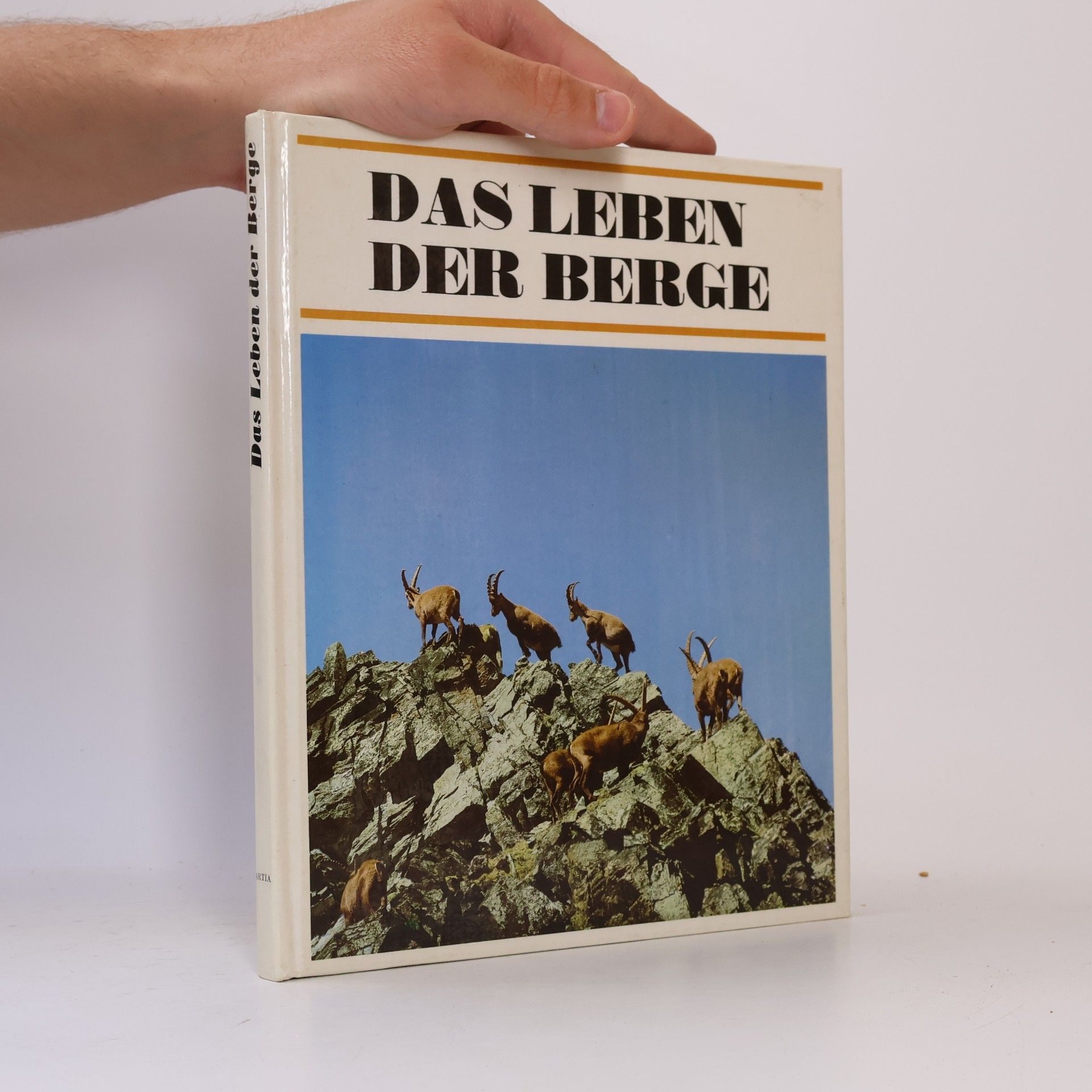 Das Leben der Berge