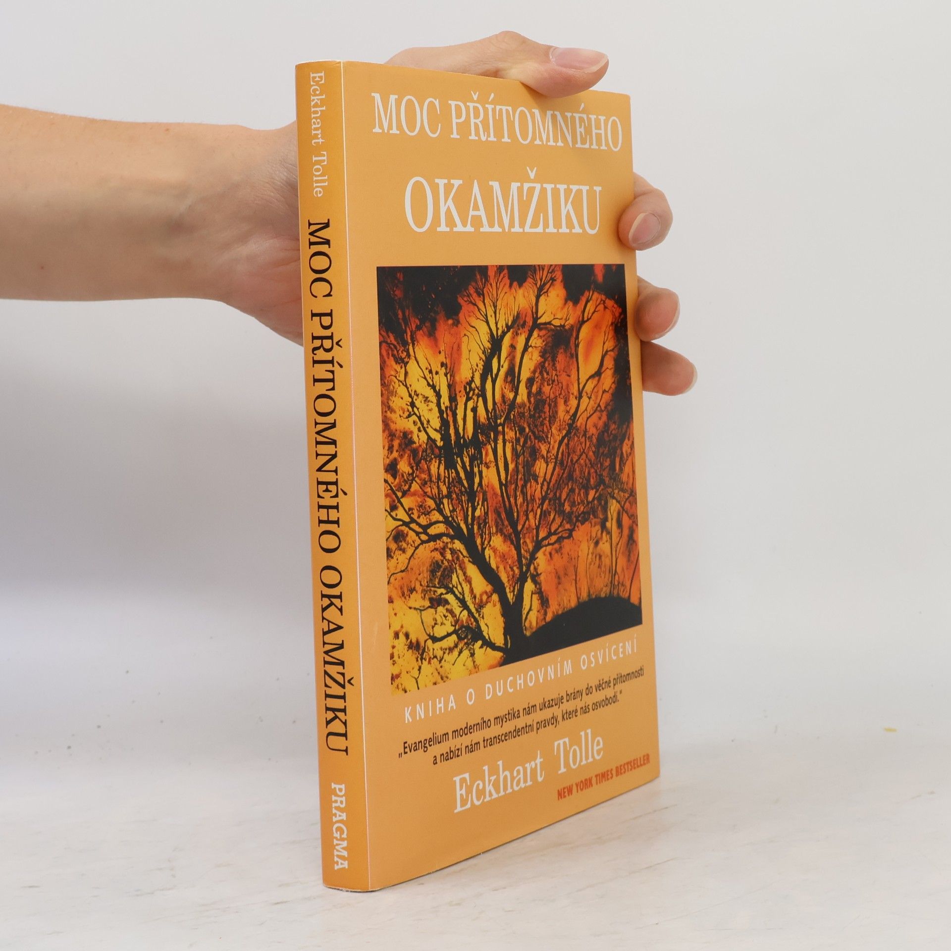 Eckhart Tolle Moc přítomného okamžiku