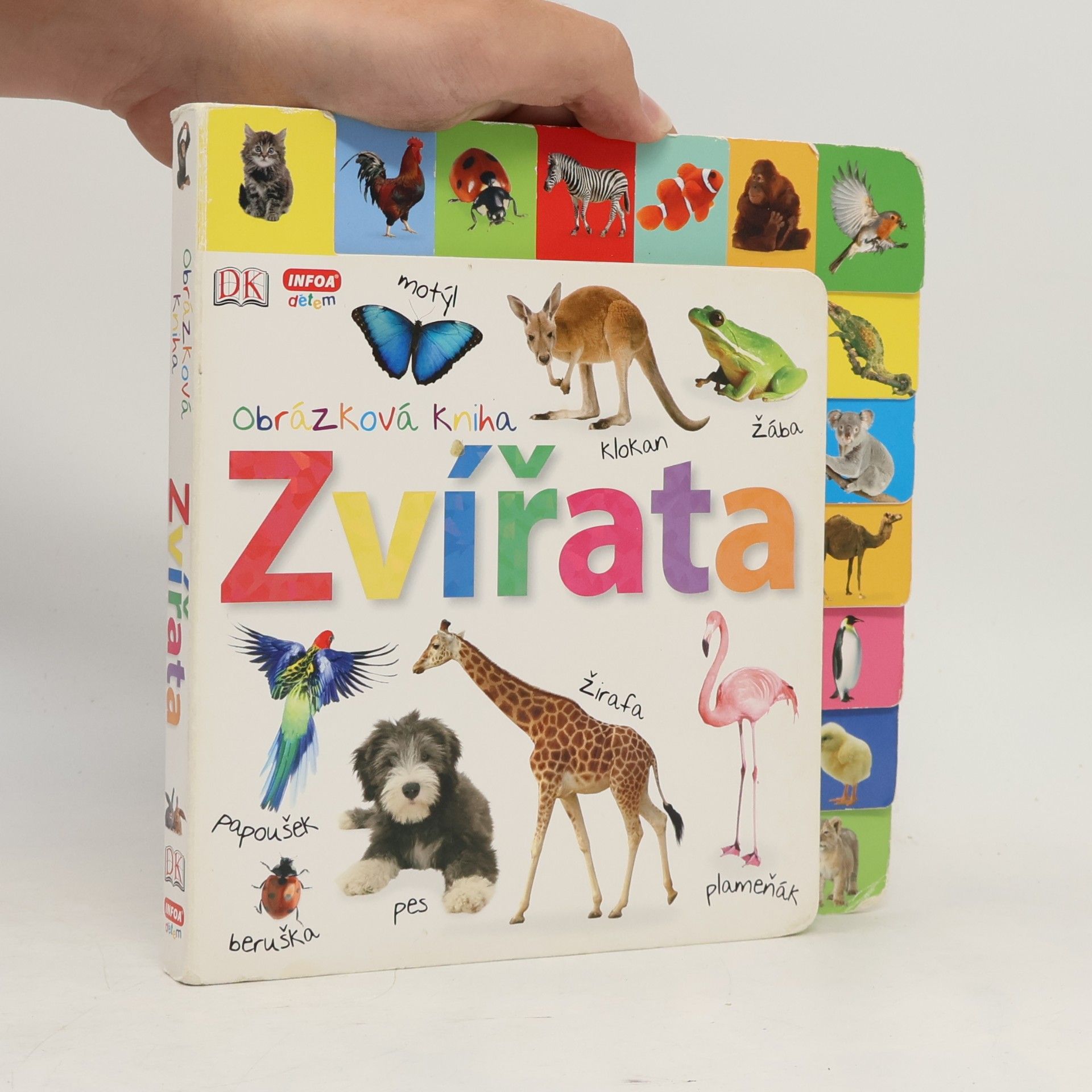 Kolektiv autorů Obrázková kniha. Zvířata