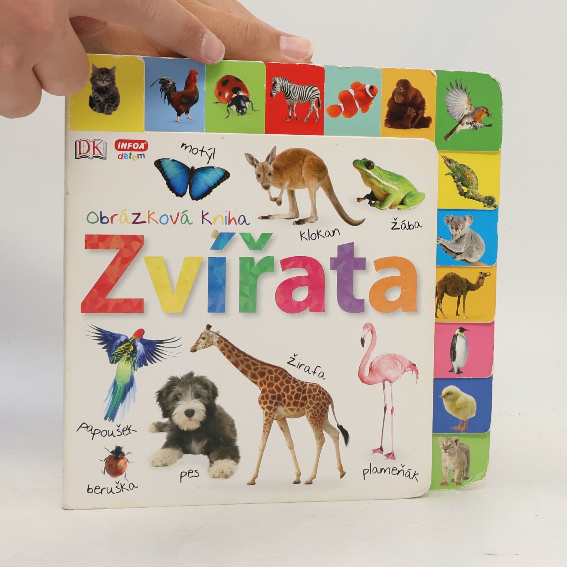 Kolektiv autorů Obrázková kniha. Zvířata