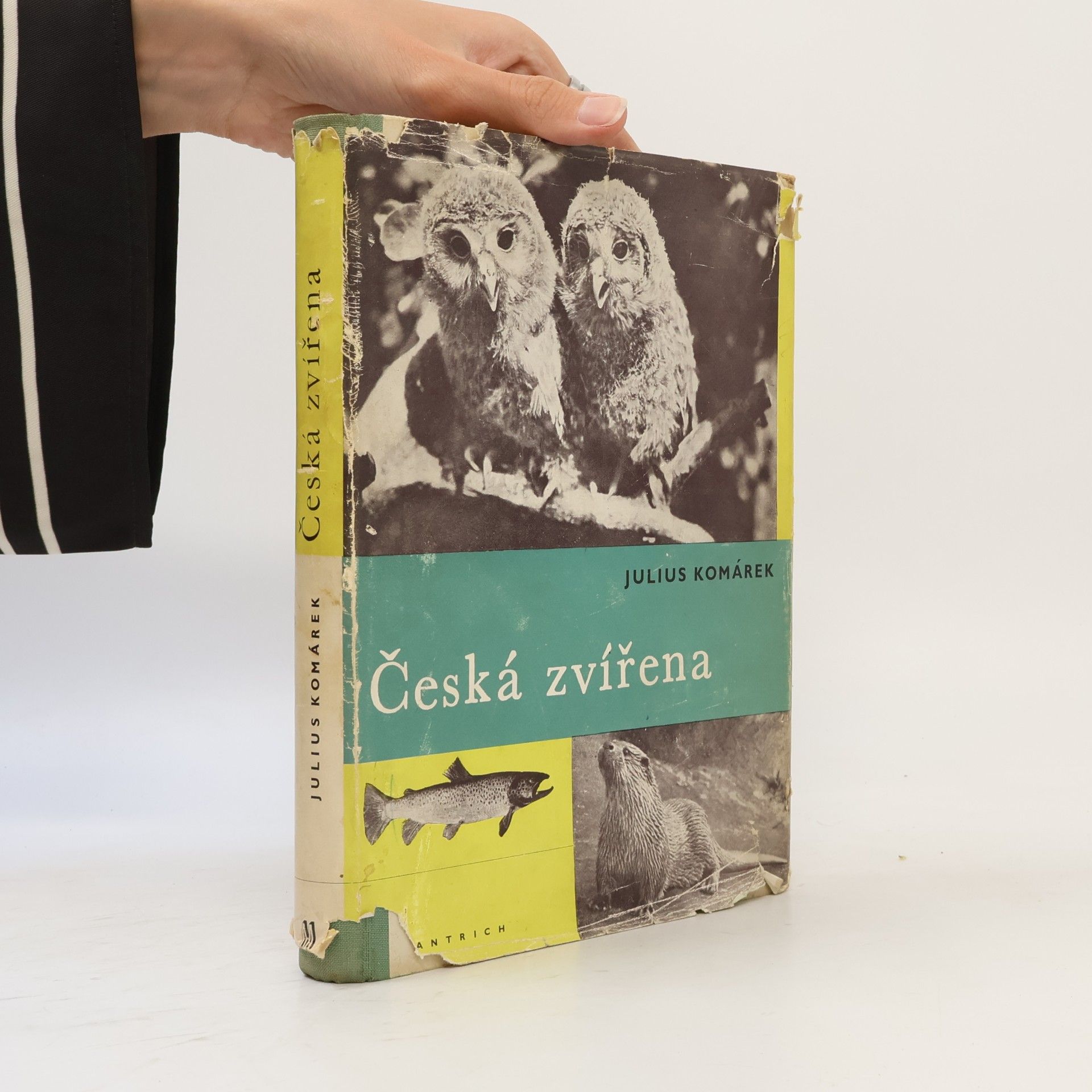 Julius Komárek Česká zvířena