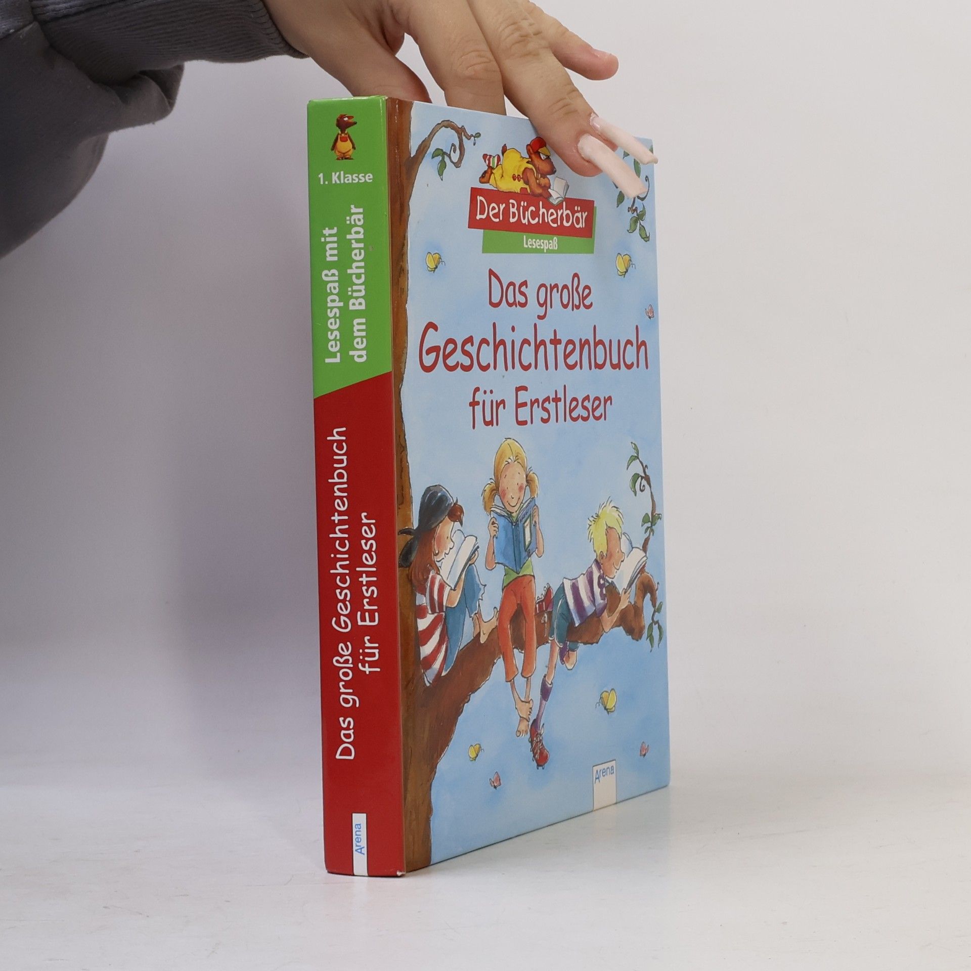 Autores varios Das große Geschichtenbuch für Erstleser