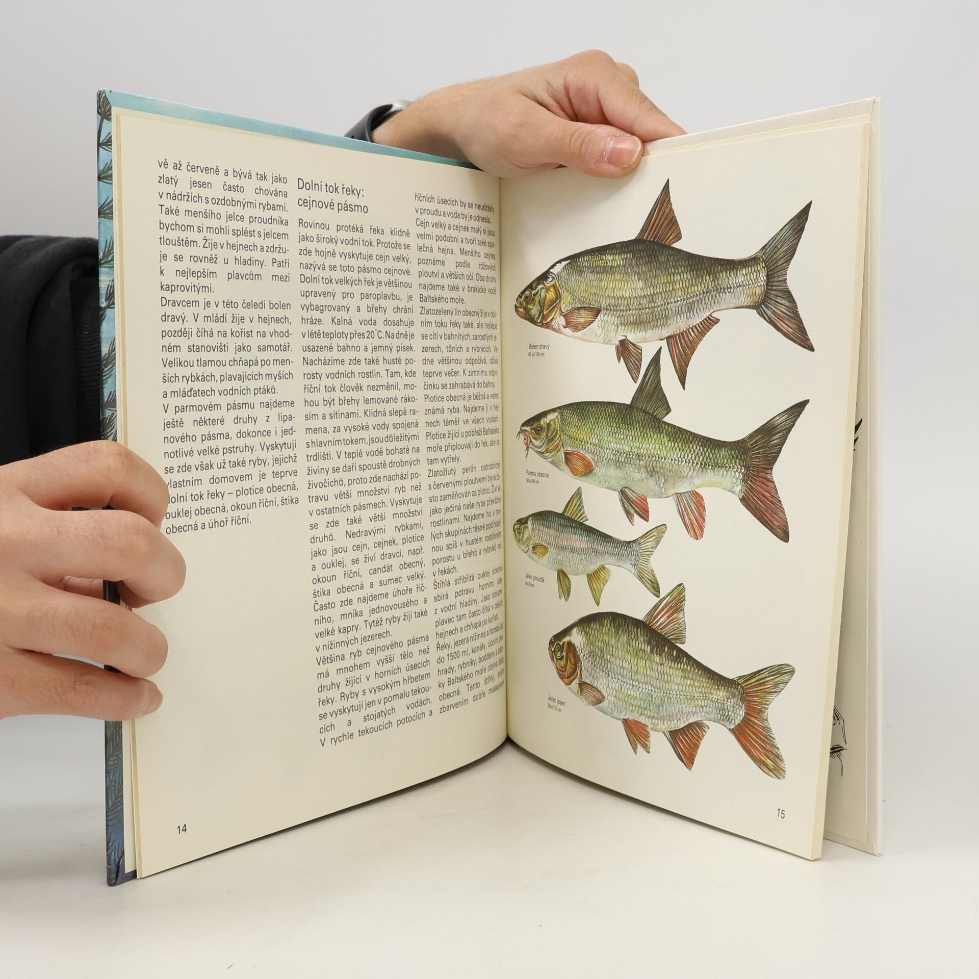 Various authors Ryby