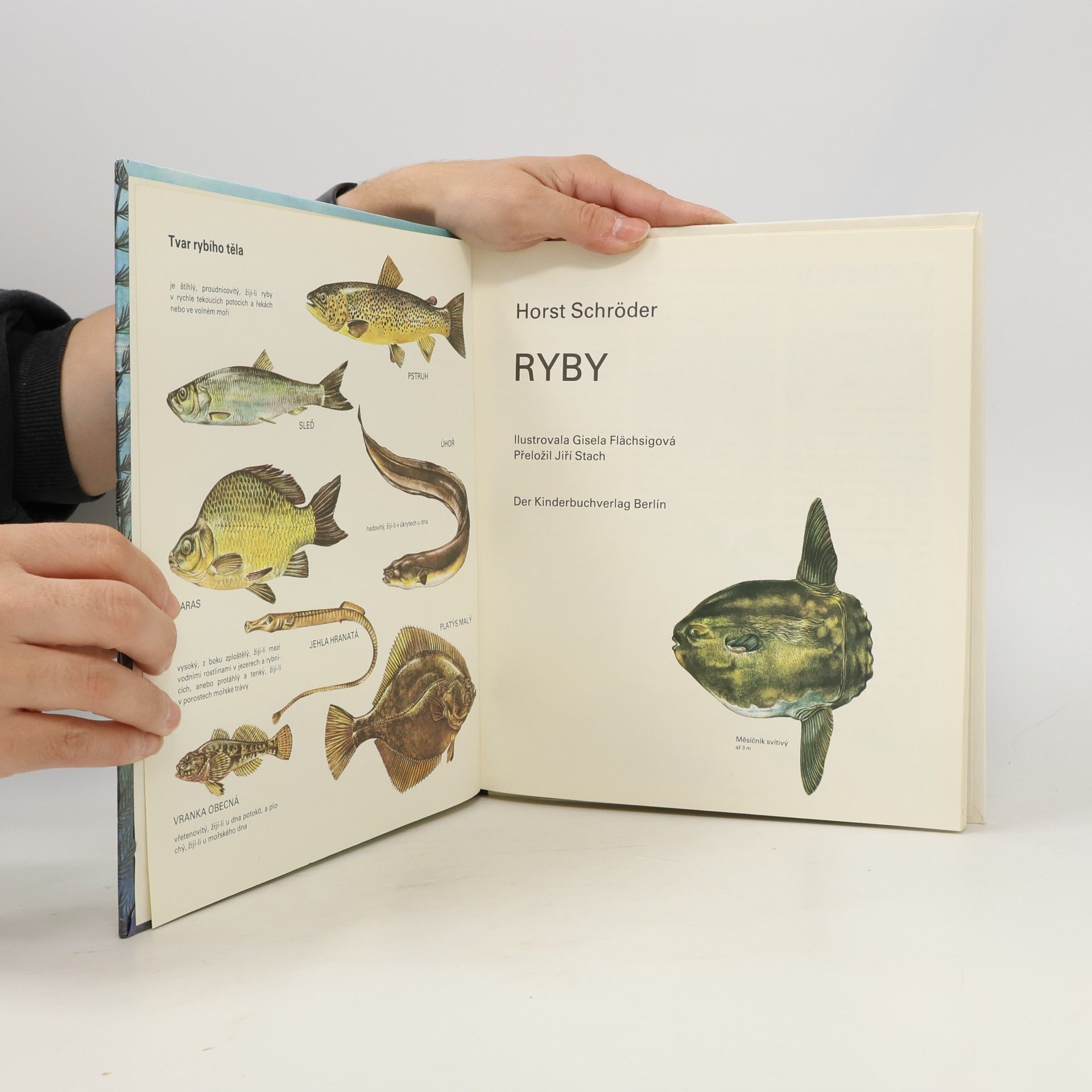 Various authors Ryby
