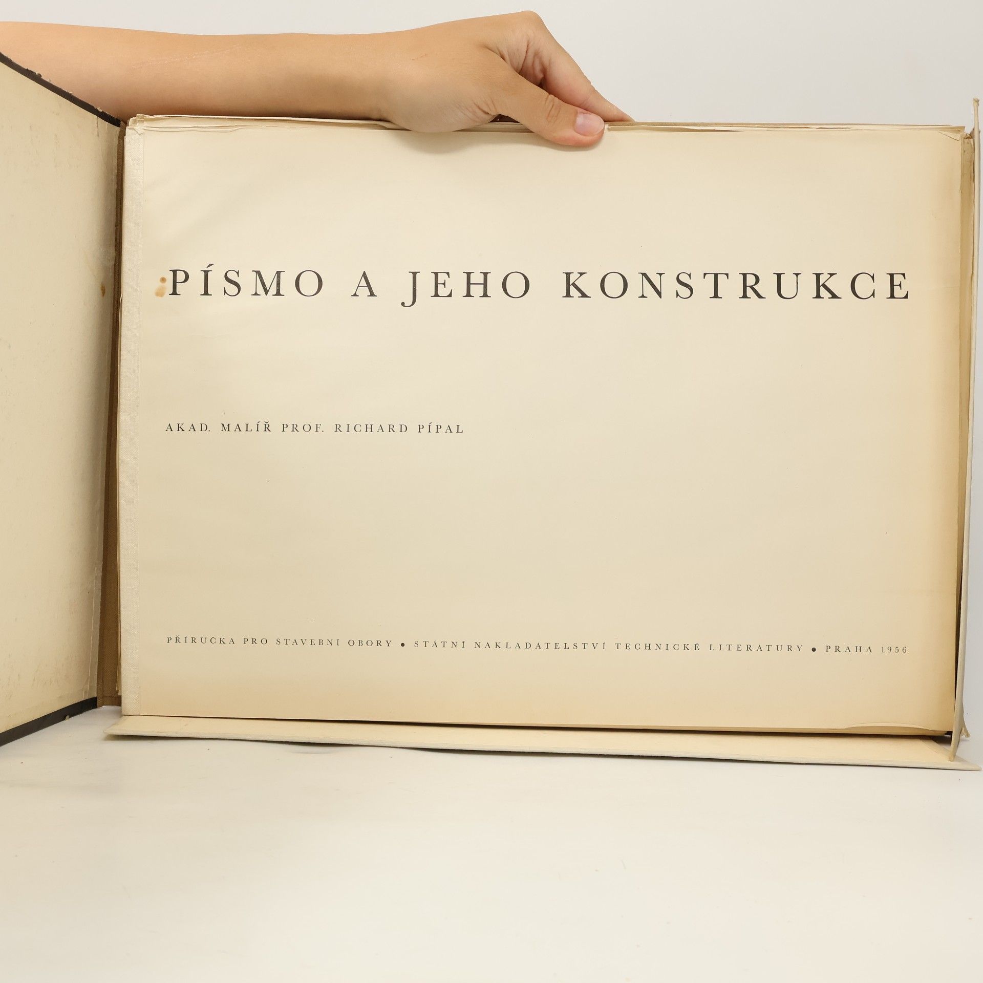 Richard Pípal Písmo a jeho konstrukce