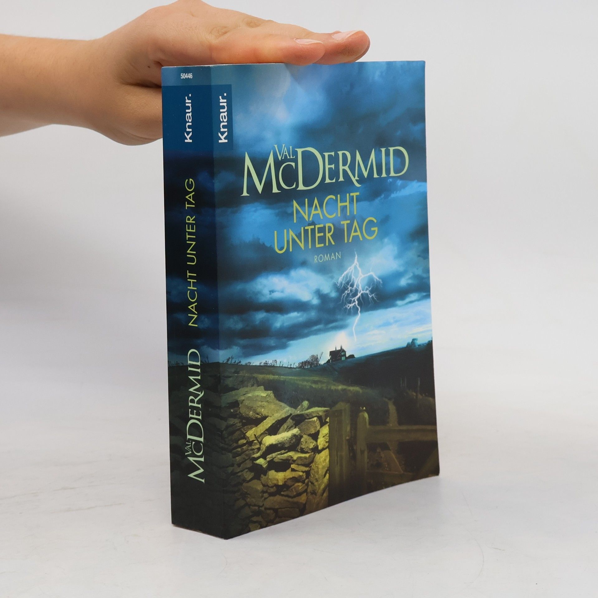 Val McDermid Karen Pirie 2. Nacht unter Tag