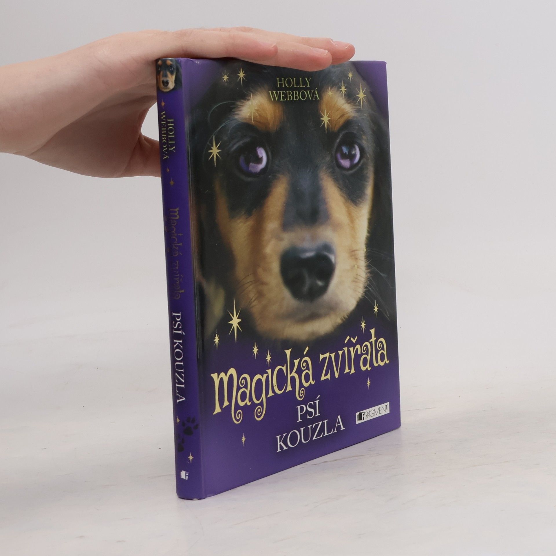 Holly Webb Magická zvířata. Psí kouzla
