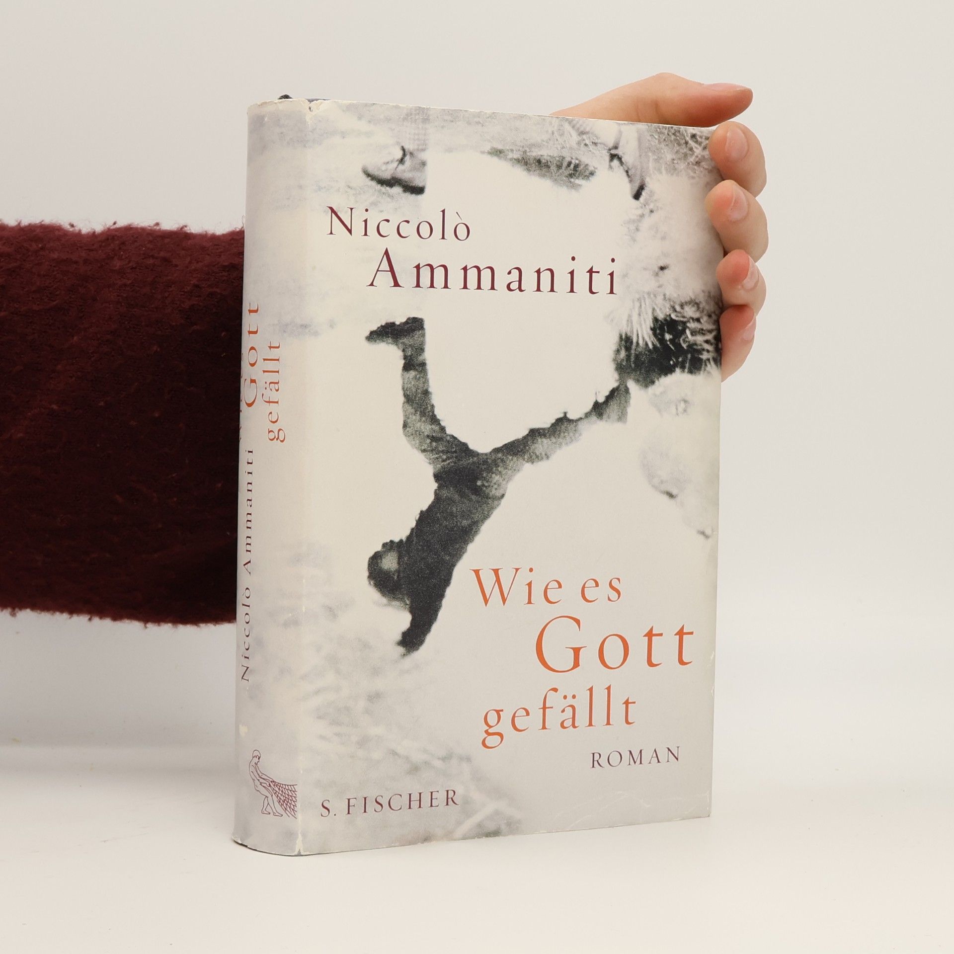 Niccolò Ammaniti Wie es Gott gefällt