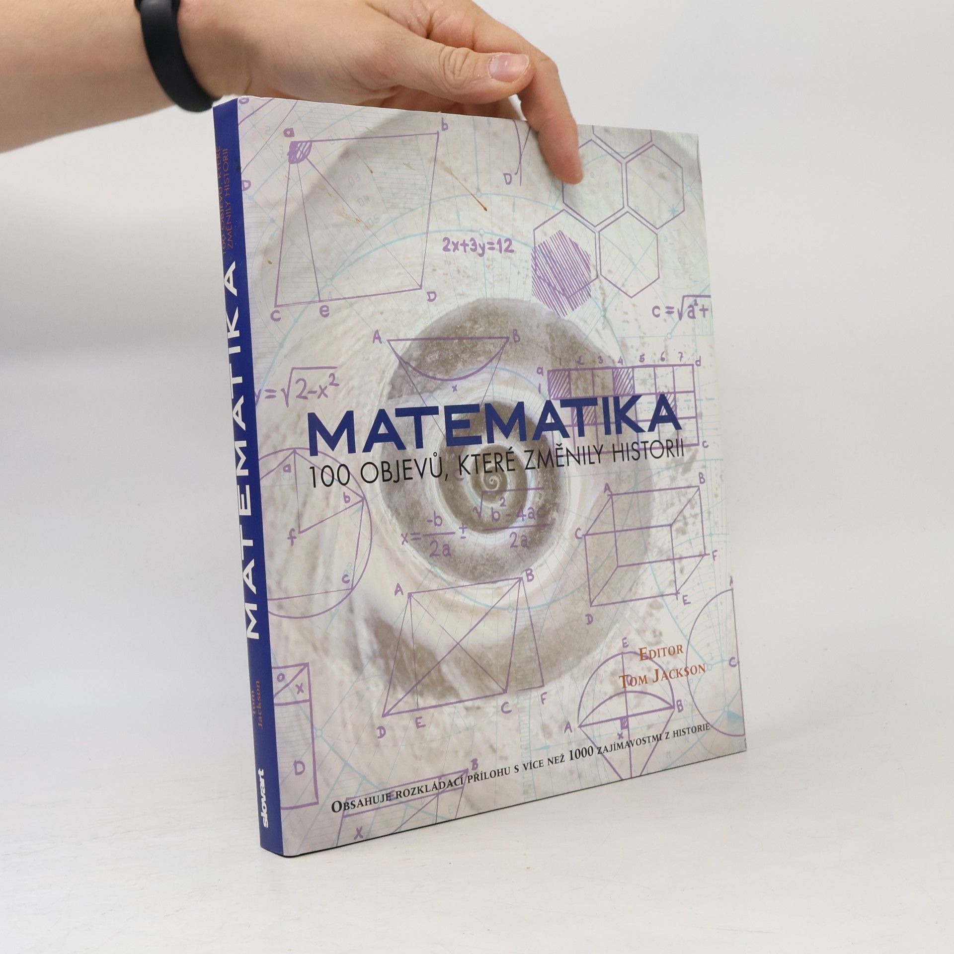 Kolektív autorov Matematika: 100 objevů, které změnily historii