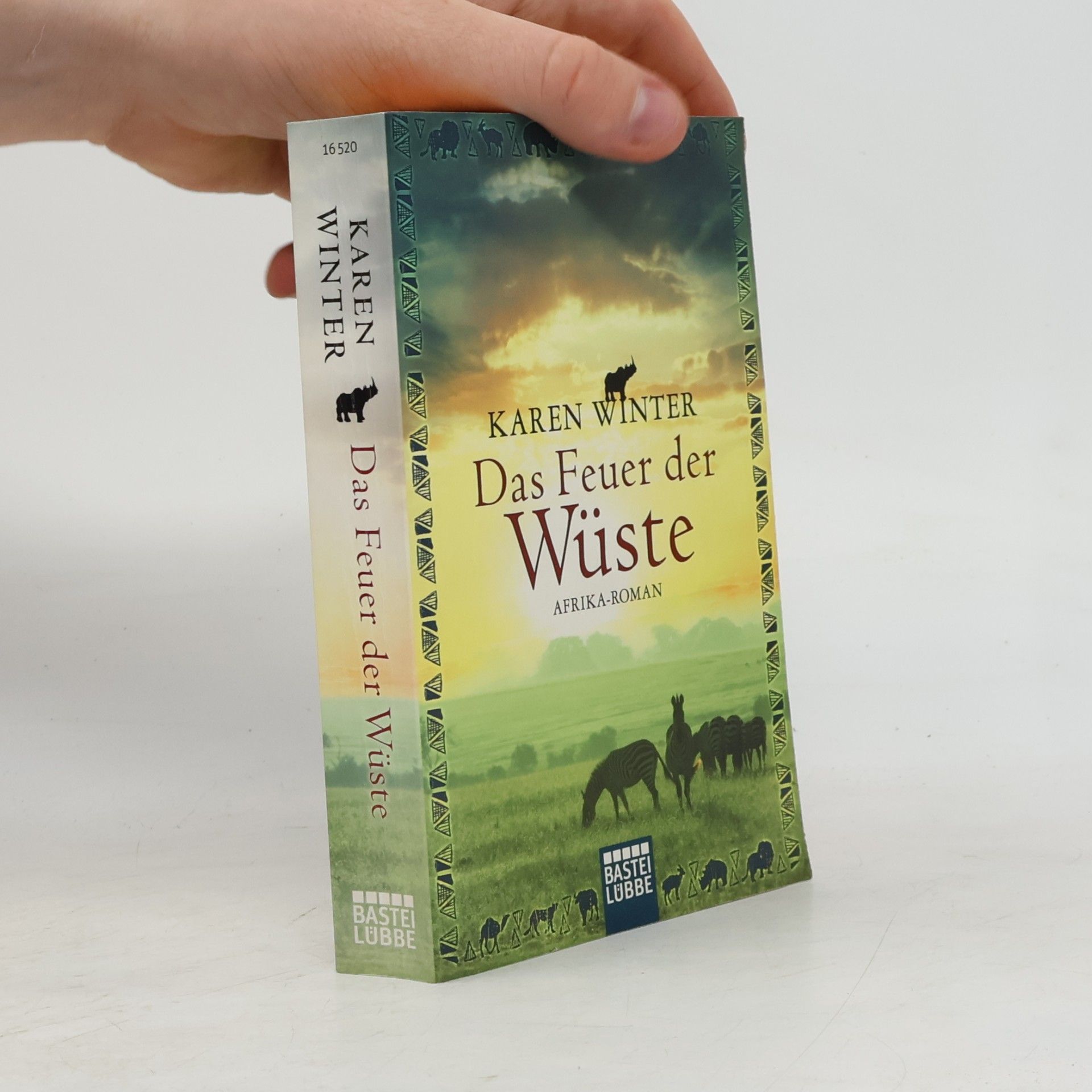 Karen Winter Das Feuer der Wüste