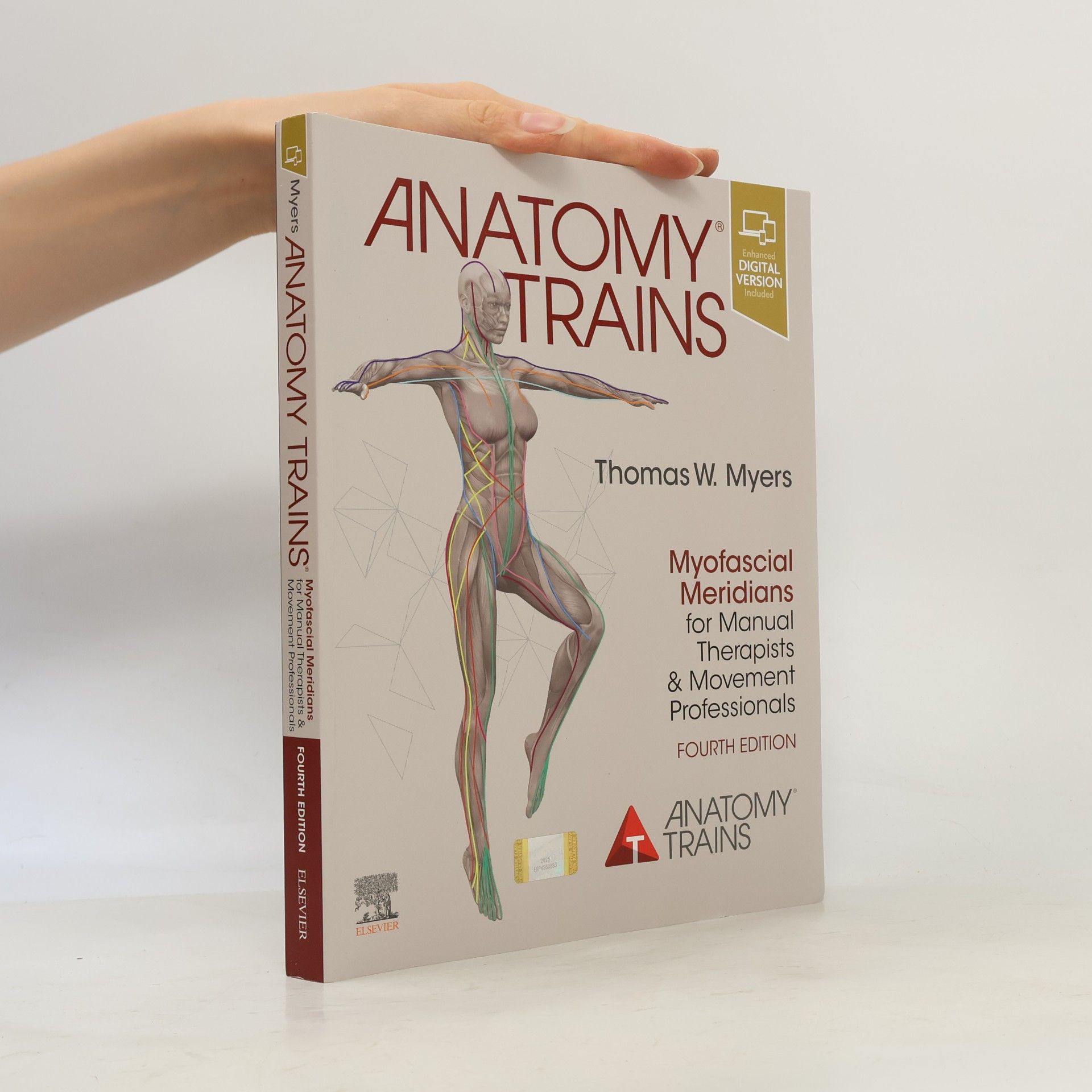 Anatomy Trains
