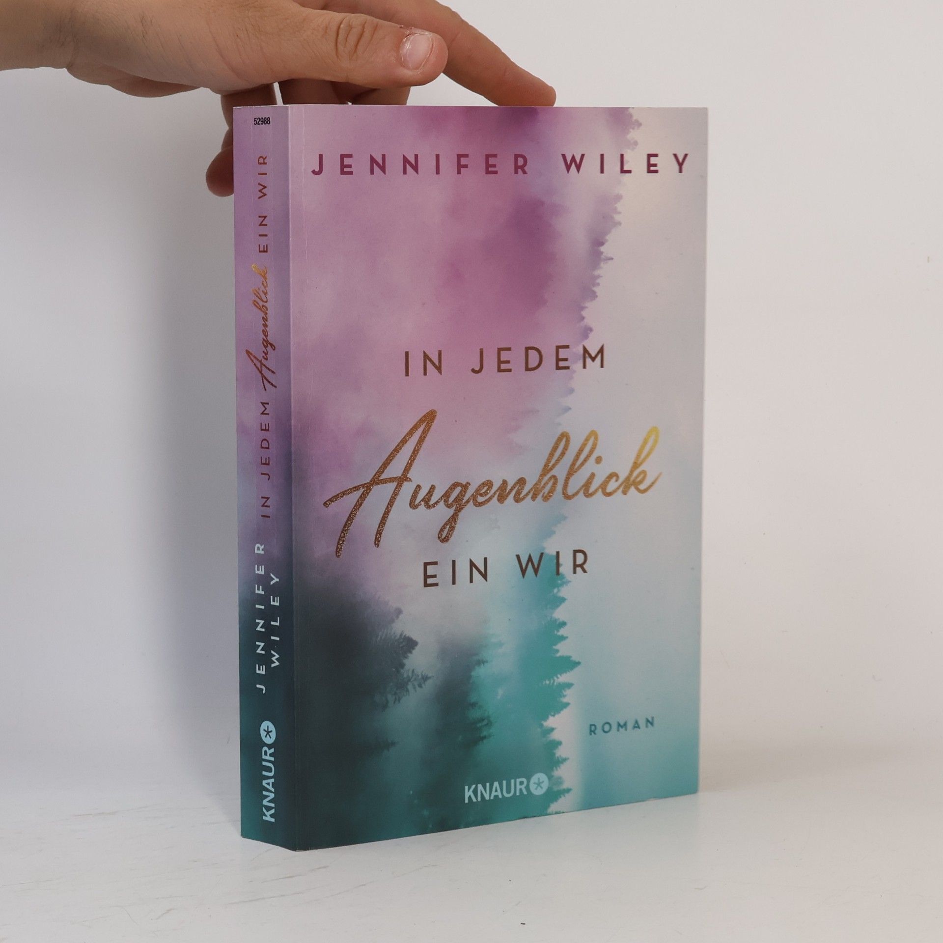 Jennifer Wiley In jedem Augenblick ein Wir