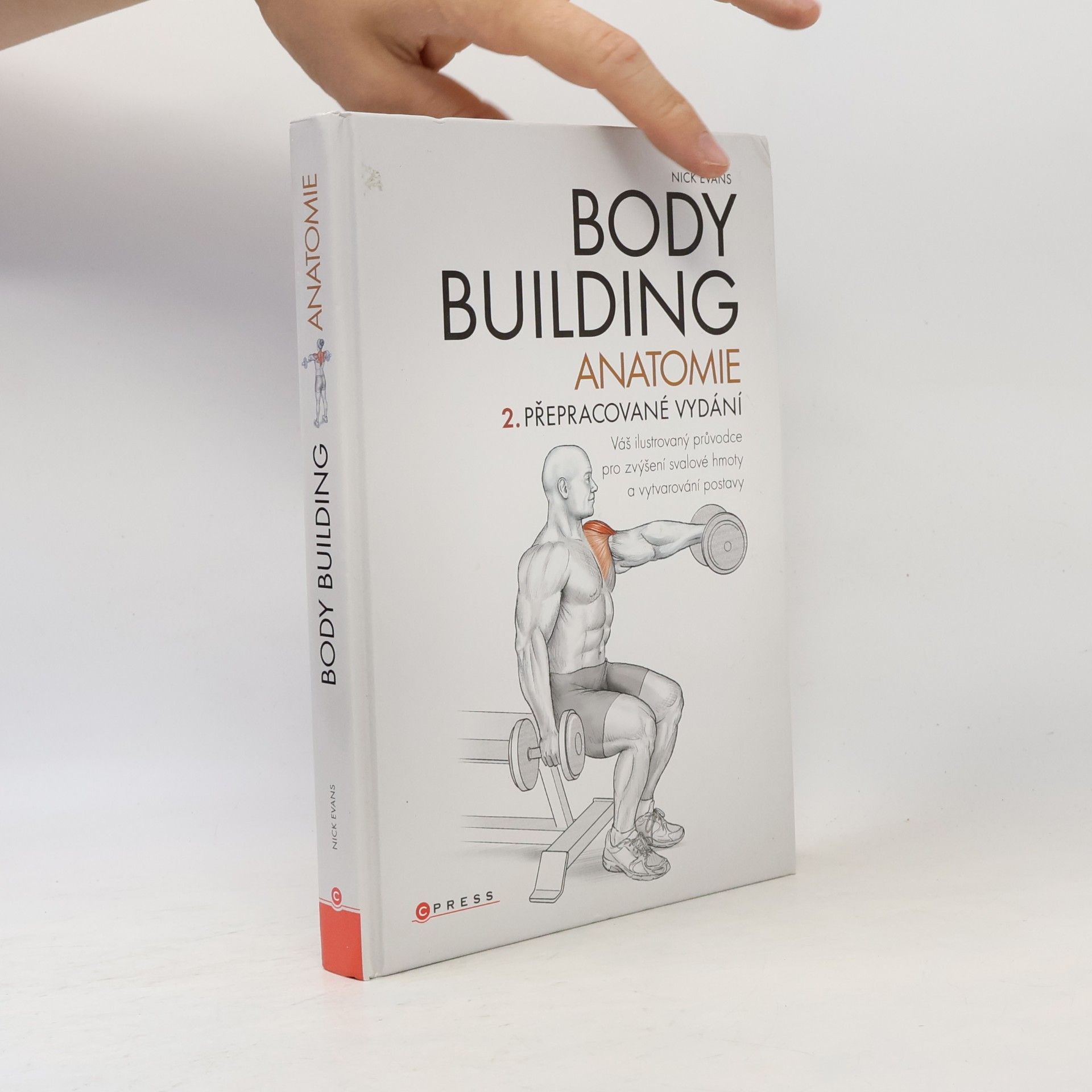 Nick Evans Bodybuilding - anatomie