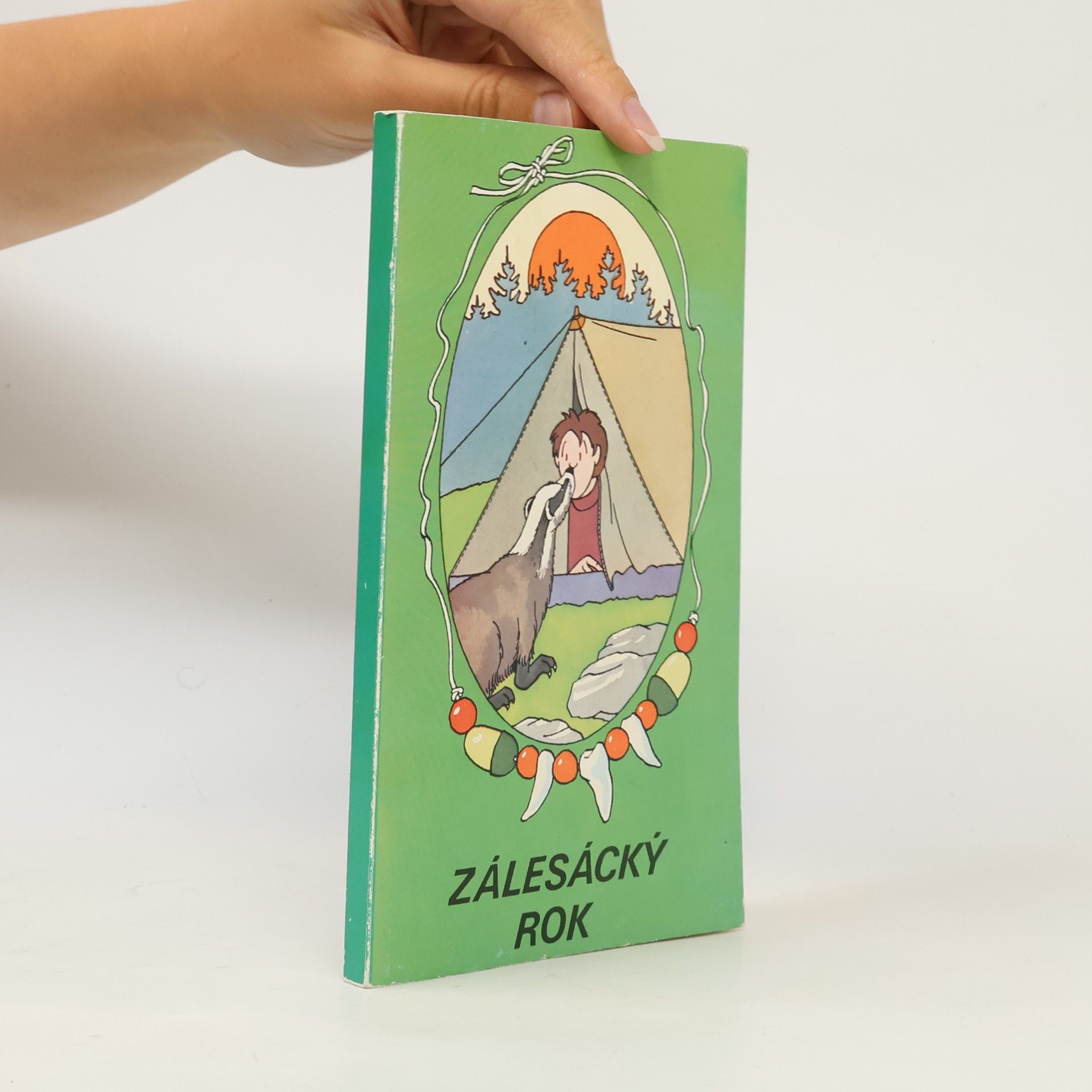 Autorenkollektiv Zálesácký rok