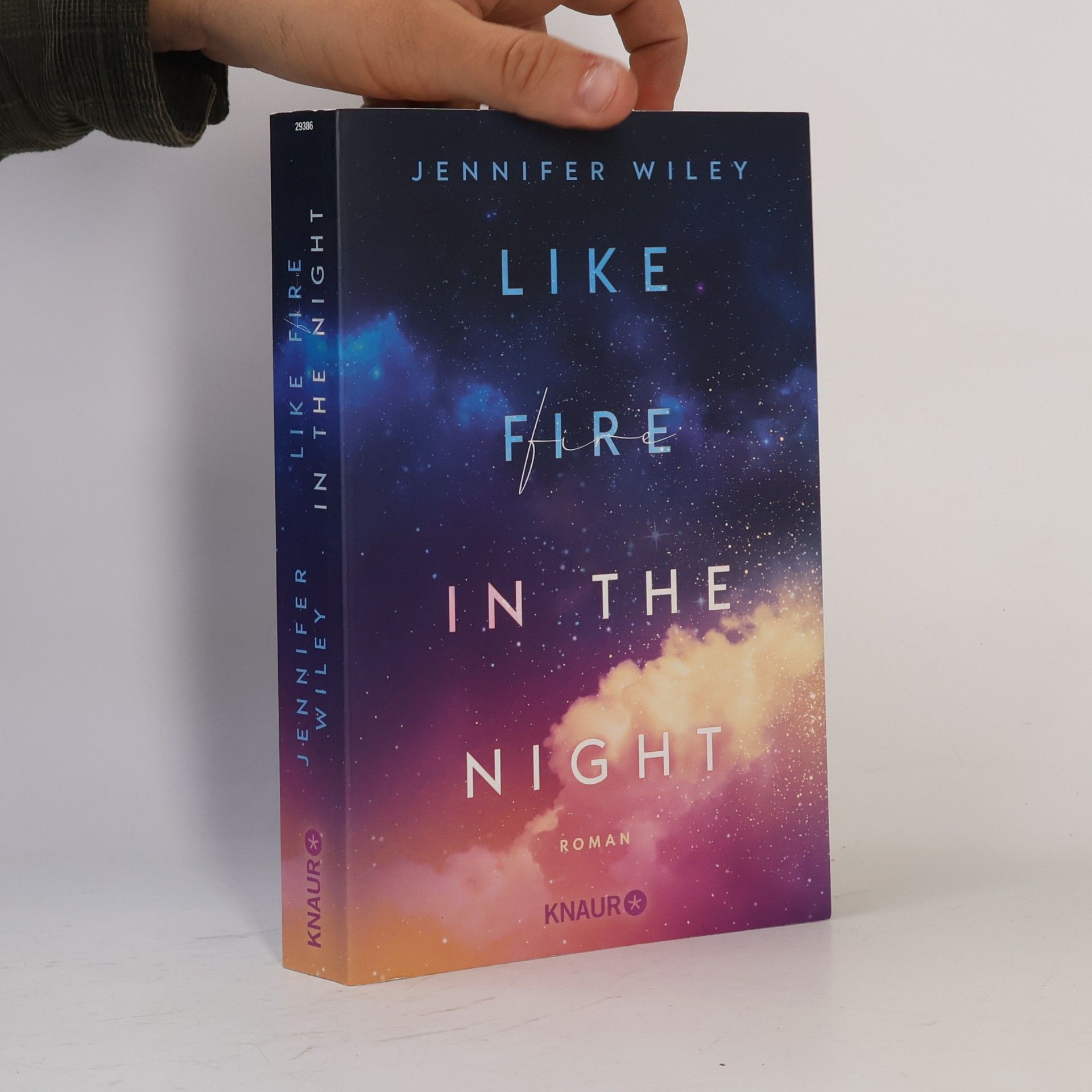 Jennifer Wiley Like Fire in the Night. Roman